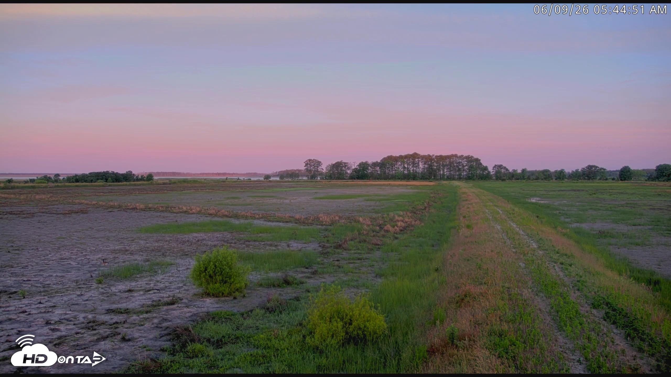 Snapshot of Blackwater Wildlife Refuge Waterfowl Live Webcam taken Jun 9, 2026, 5:45am EDT