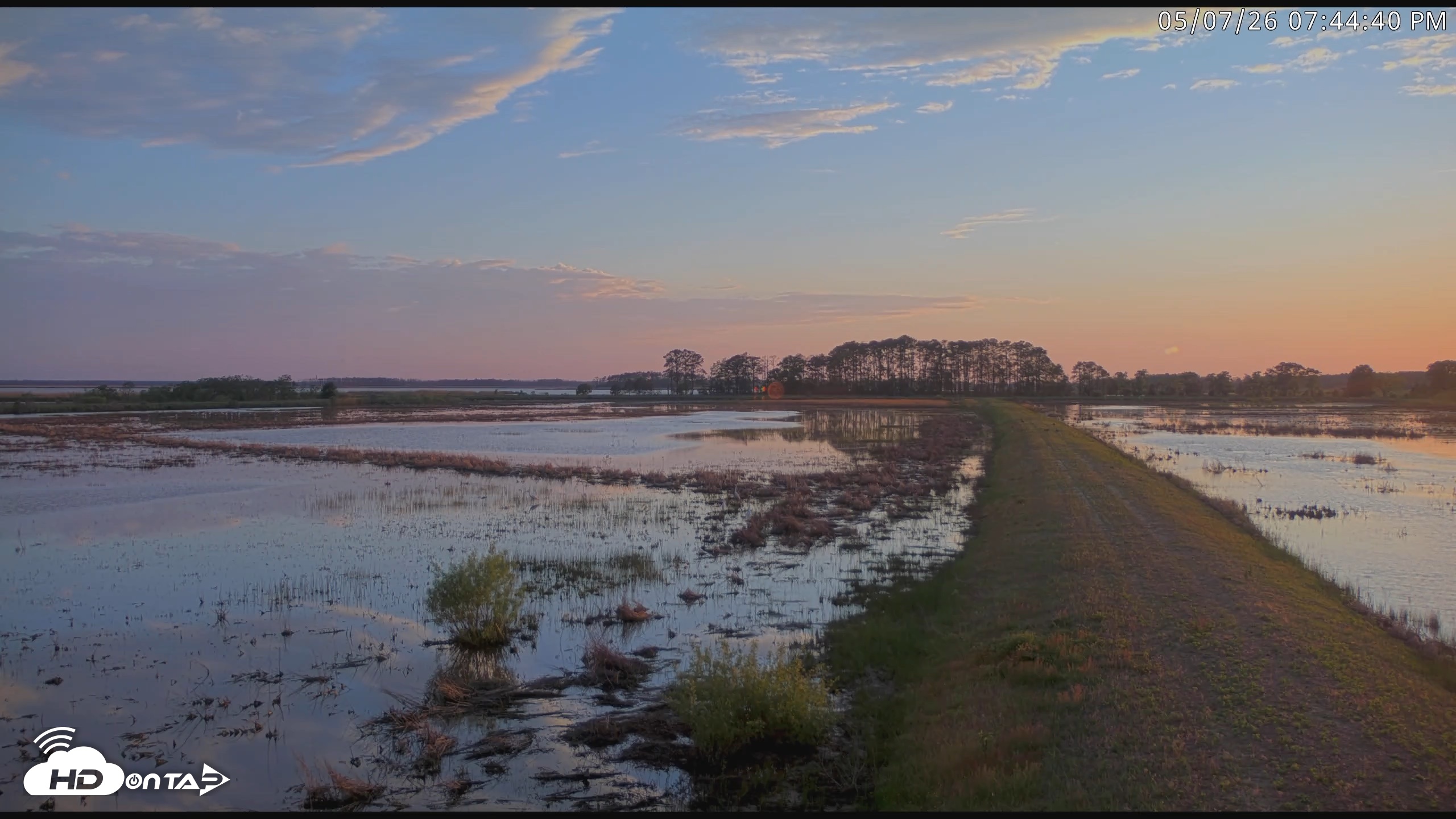 Snapshot of Blackwater Wildlife Refuge Waterfowl Live Webcam taken May 7, 2026, 7:45pm EDT