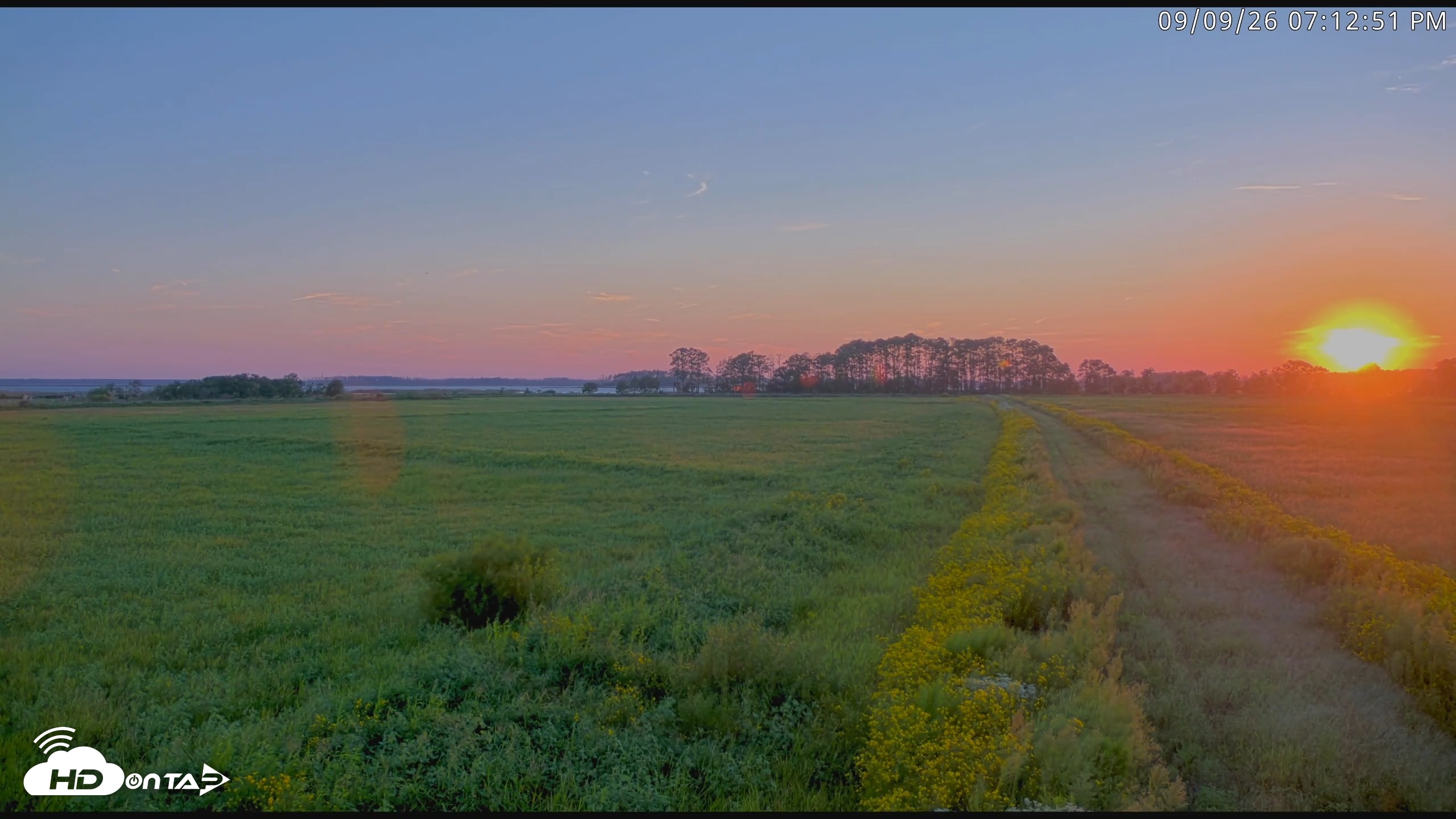 Snapshot of Blackwater Wildlife Refuge Waterfowl Live Webcam taken Sep 9, 2026, 7:13pm EDT