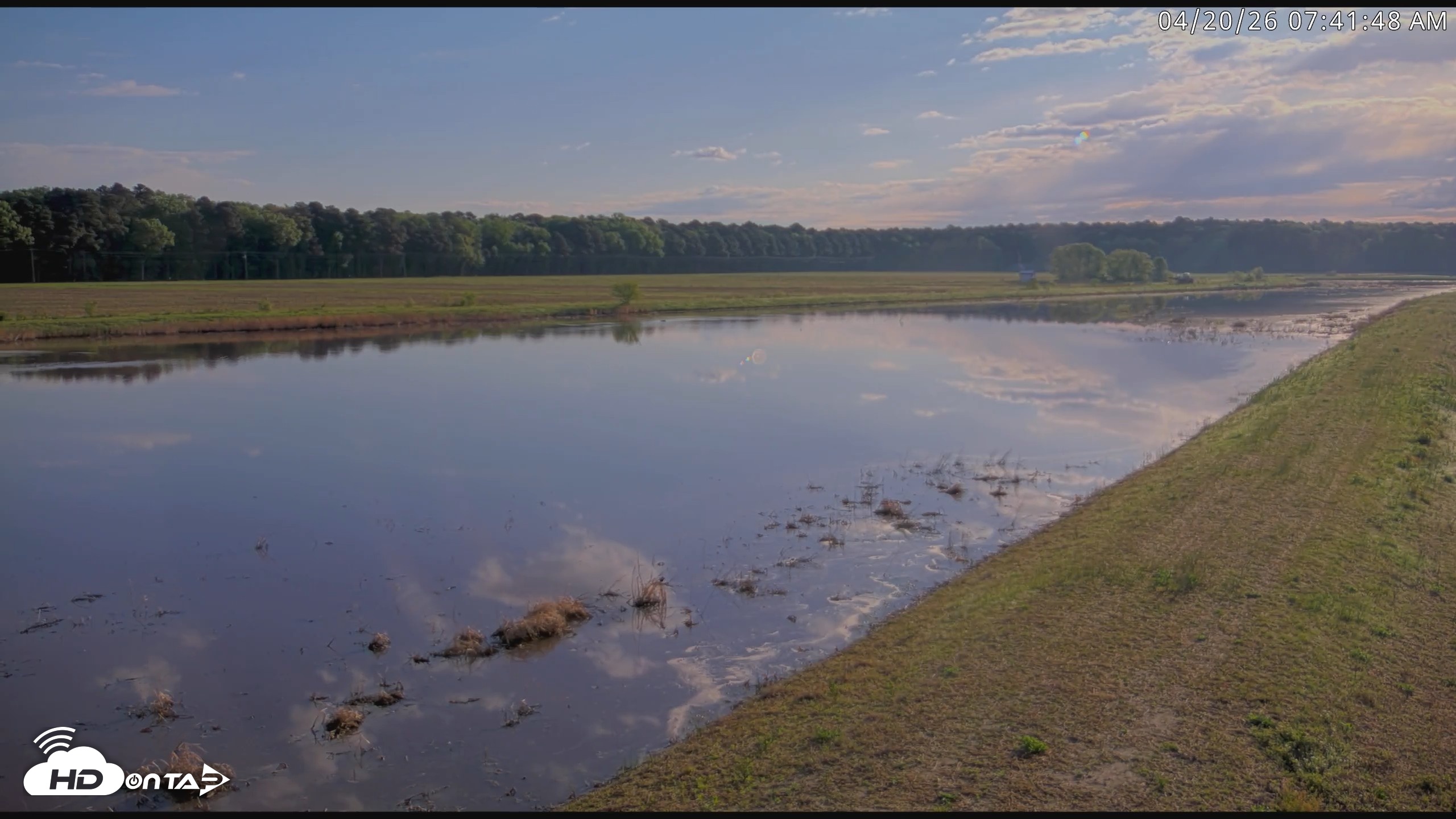 Snapshot of Blackwater Wildlife Refuge Waterfowl Live Webcam taken Apr 20, 2026, 7:42am EDT