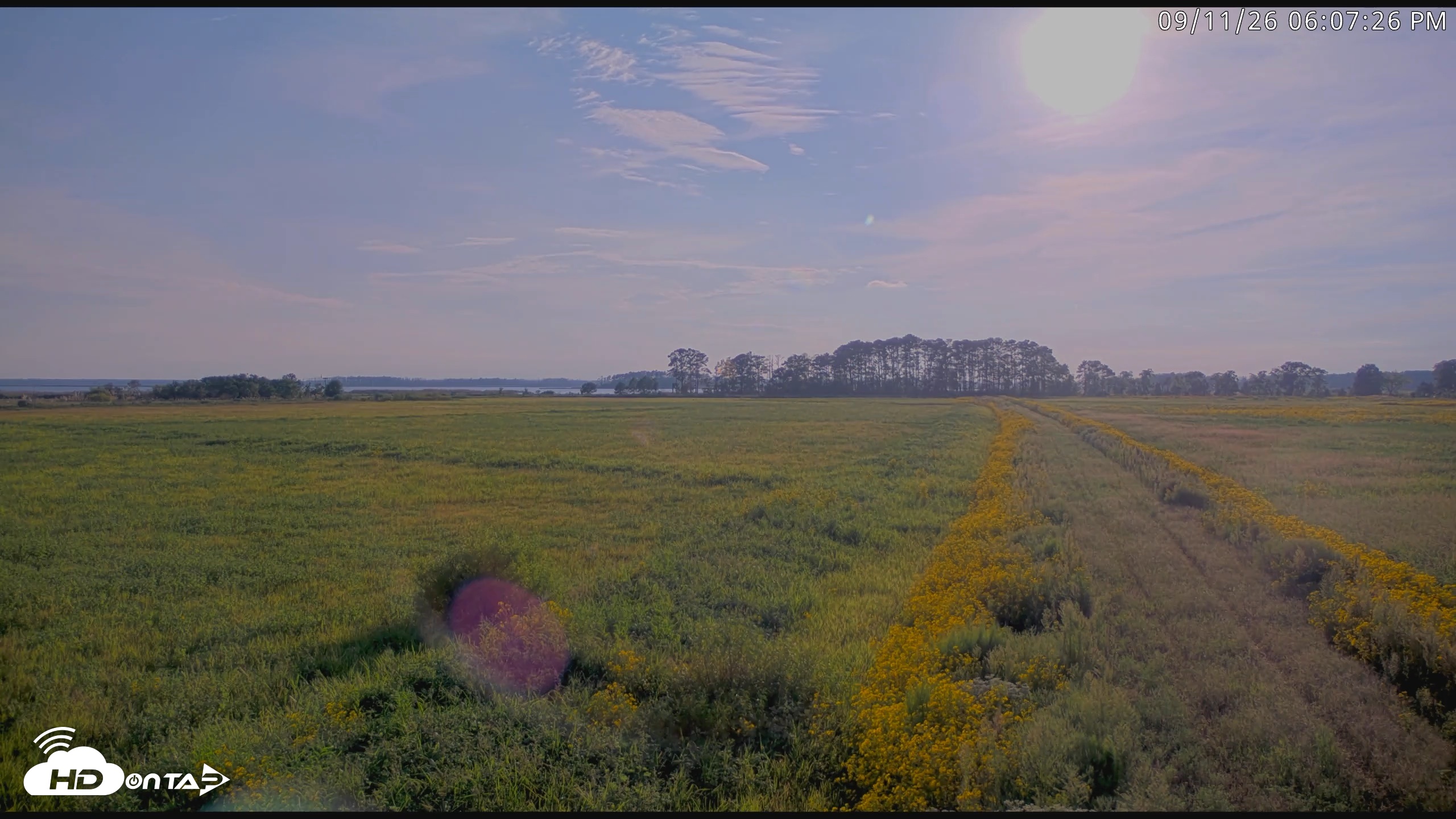 Snapshot of Blackwater Wildlife Refuge Waterfowl Live Webcam taken Sep 11, 2026, 6:08pm EDT