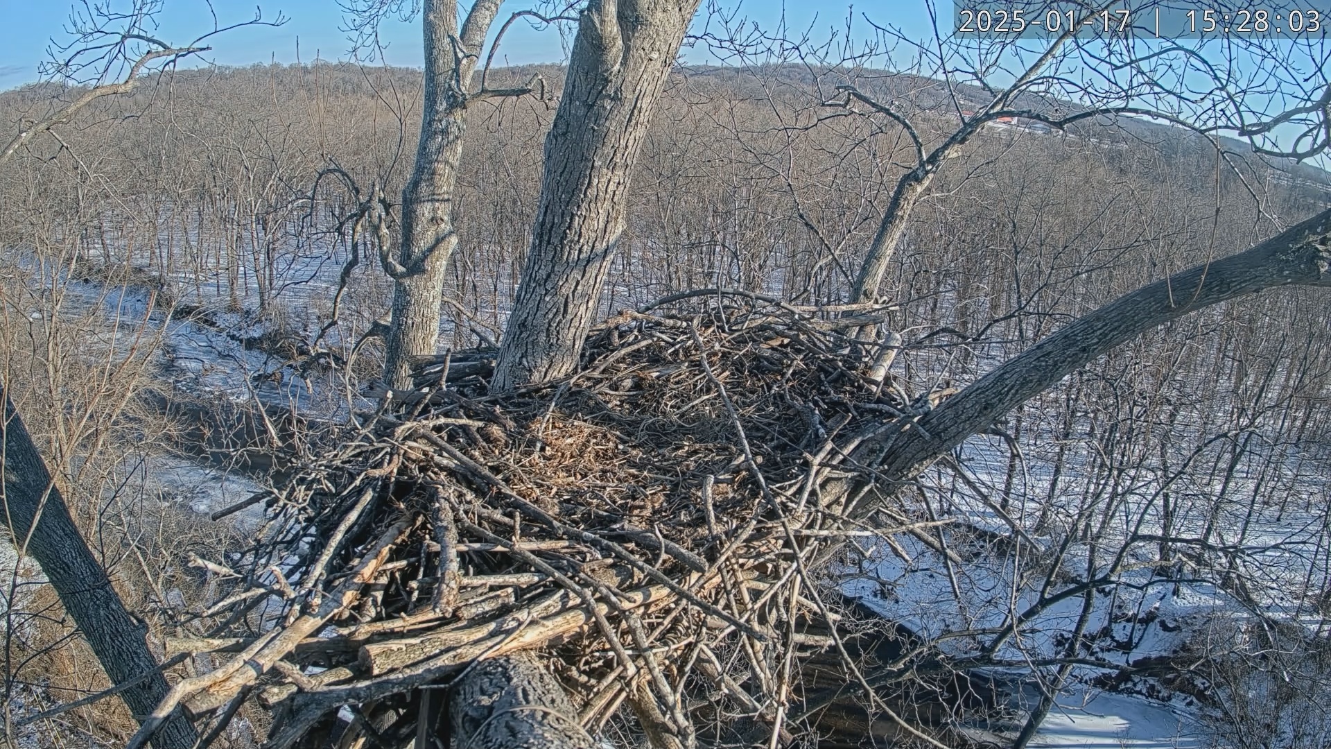 Snapshot of Dulles Greenway Eagles Nest Live Cam taken Jan 17, 2025, 3:24pm EST