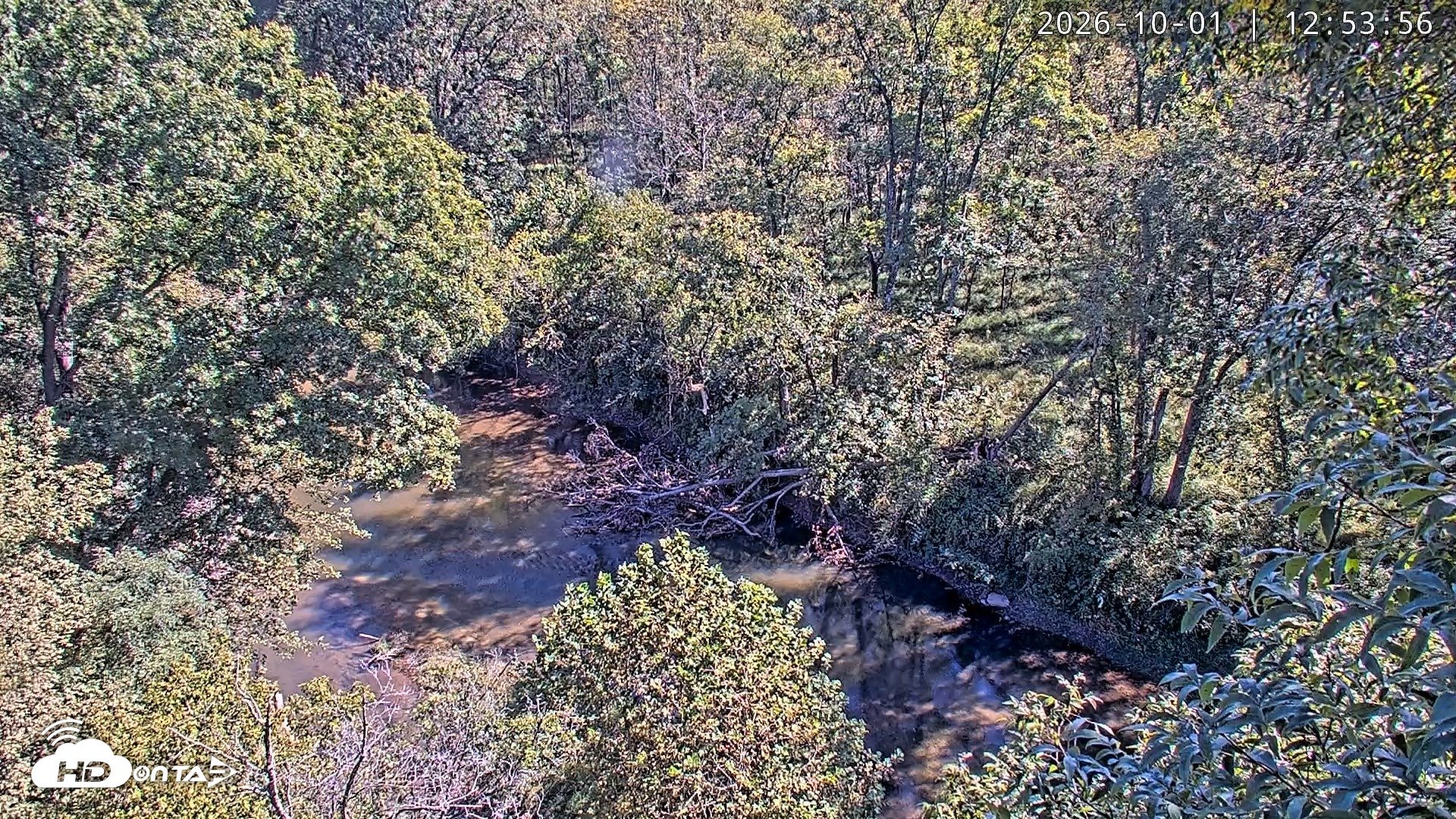 Snapshot of Dulles Greenway Eagles Nest Live Cam taken Oct 1, 2026, 12:48pm EDT