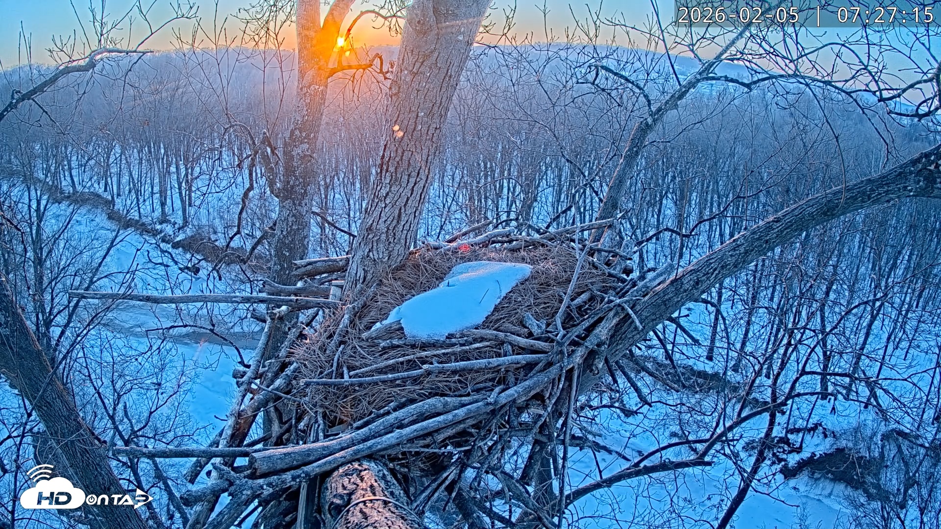 Snapshot of Dulles Greenway Eagles Nest Live Cam taken Feb 5, 2026, 7:22am EST