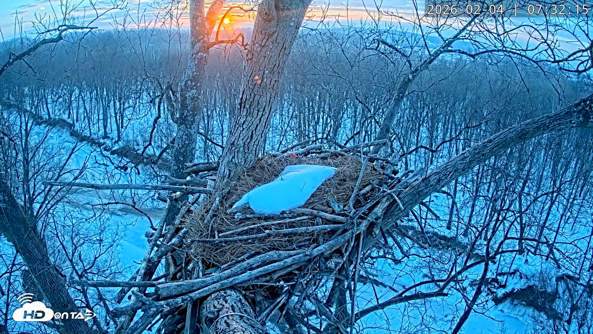 Snapshot of Dulles Greenway Eagles Nest Live Cam taken Feb 4, 2026, 7:27am EST
