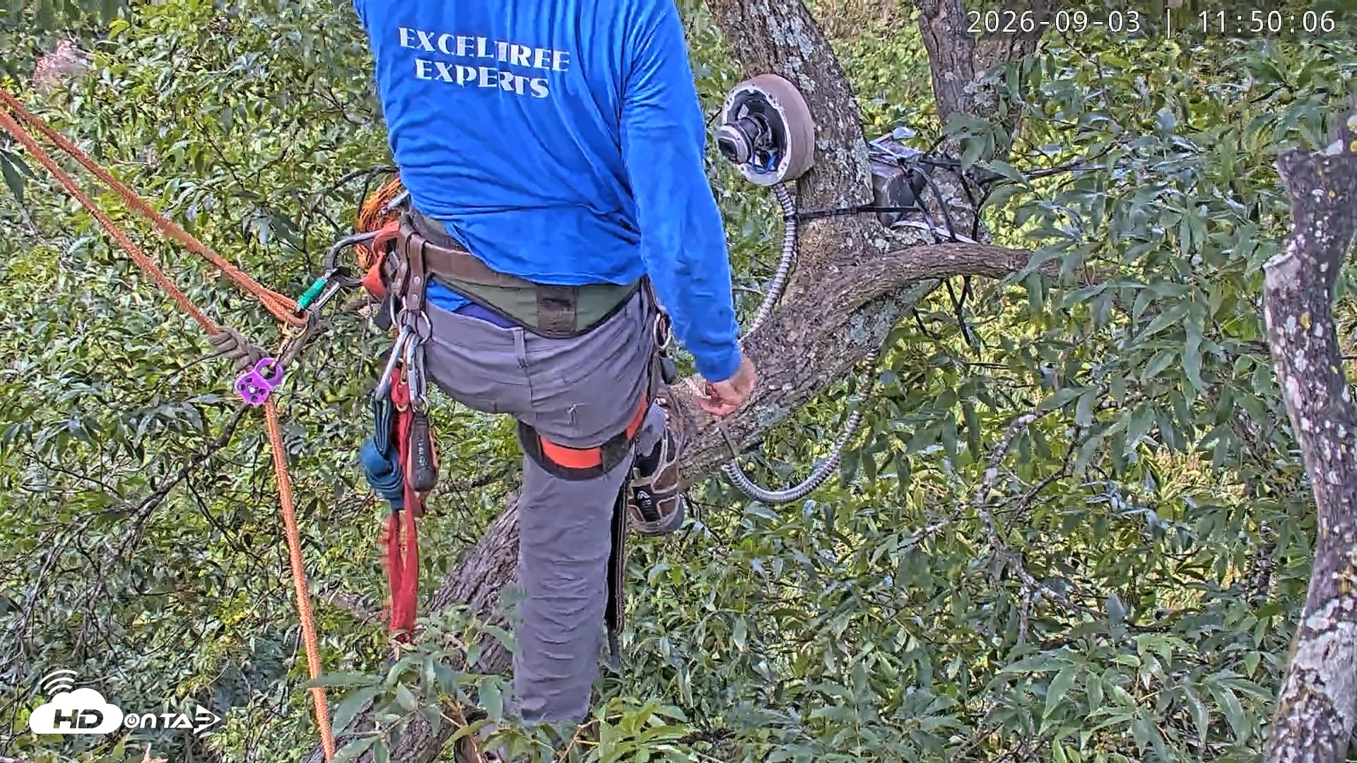 Snapshot of Dulles Greenway Eagles Nest Live Cam taken Sep 3, 2026, 11:44am EDT