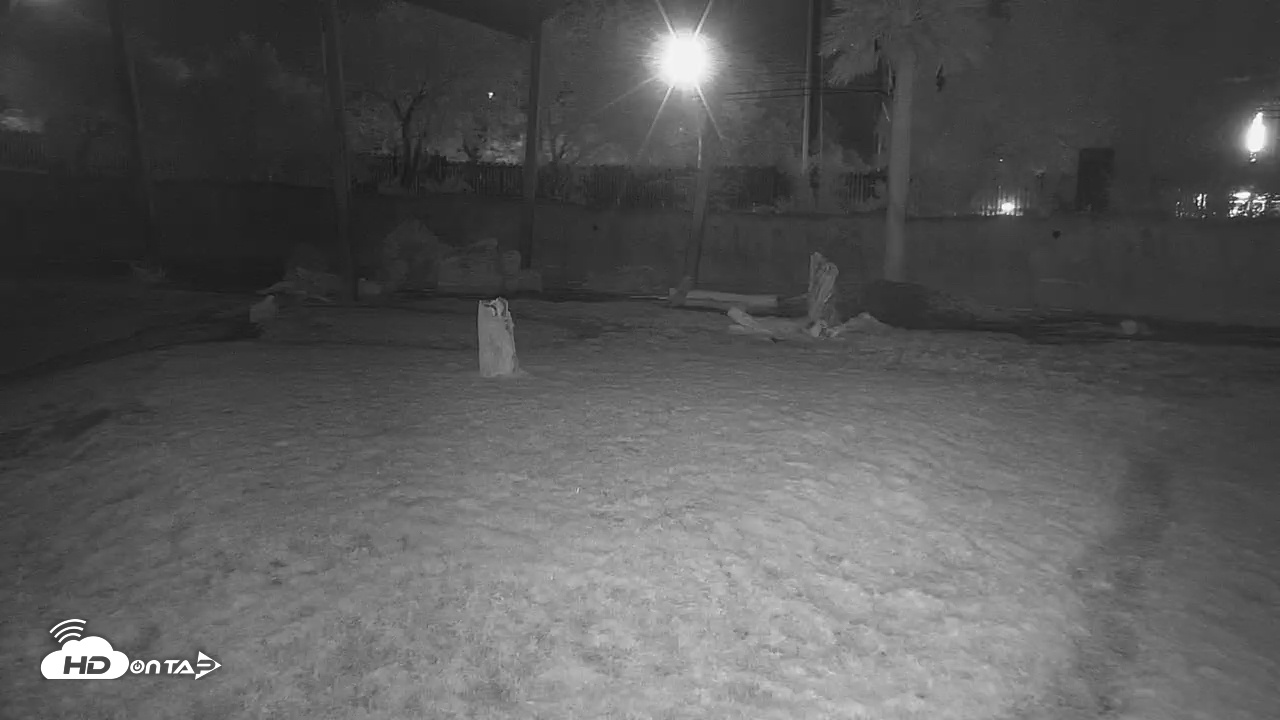 Snapshot of Reid Park Zoo Elephant Grasslands Live Webcam taken Oct 28, 2025, 6:59pm MST