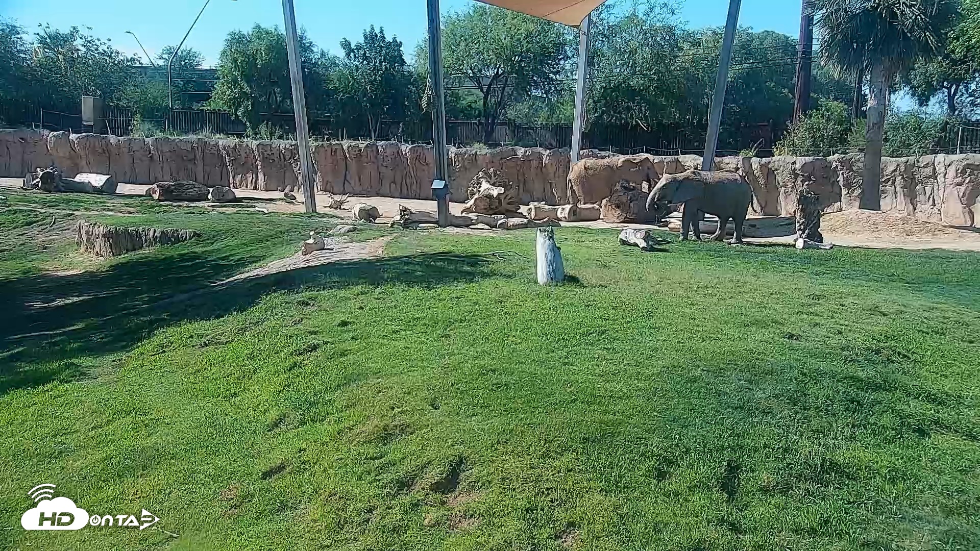 Snapshot of Reid Park Zoo Elephant Grasslands Live Webcam taken Jun 8, 2026, 8:40am MST