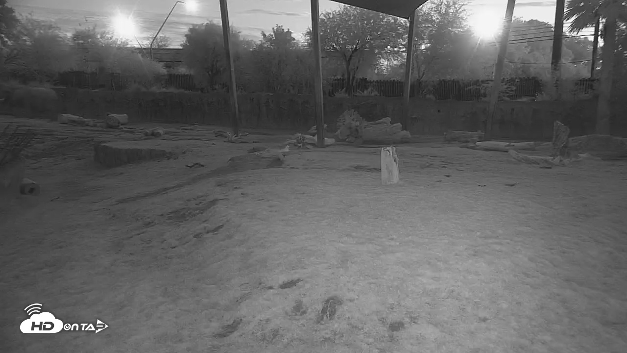 Snapshot of Reid Park Zoo Elephant Grasslands Live Webcam taken Nov 27, 2025, 5:51pm MST