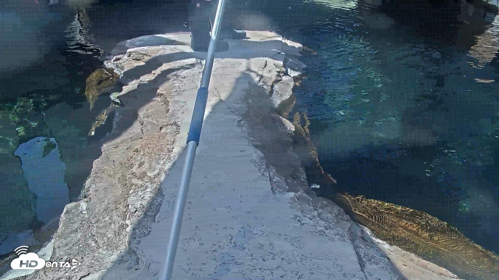 Snapshot of Birch Aquarium Penguin Exhibit Live Webcam taken Oct 5, 2026, 11:12am PDT