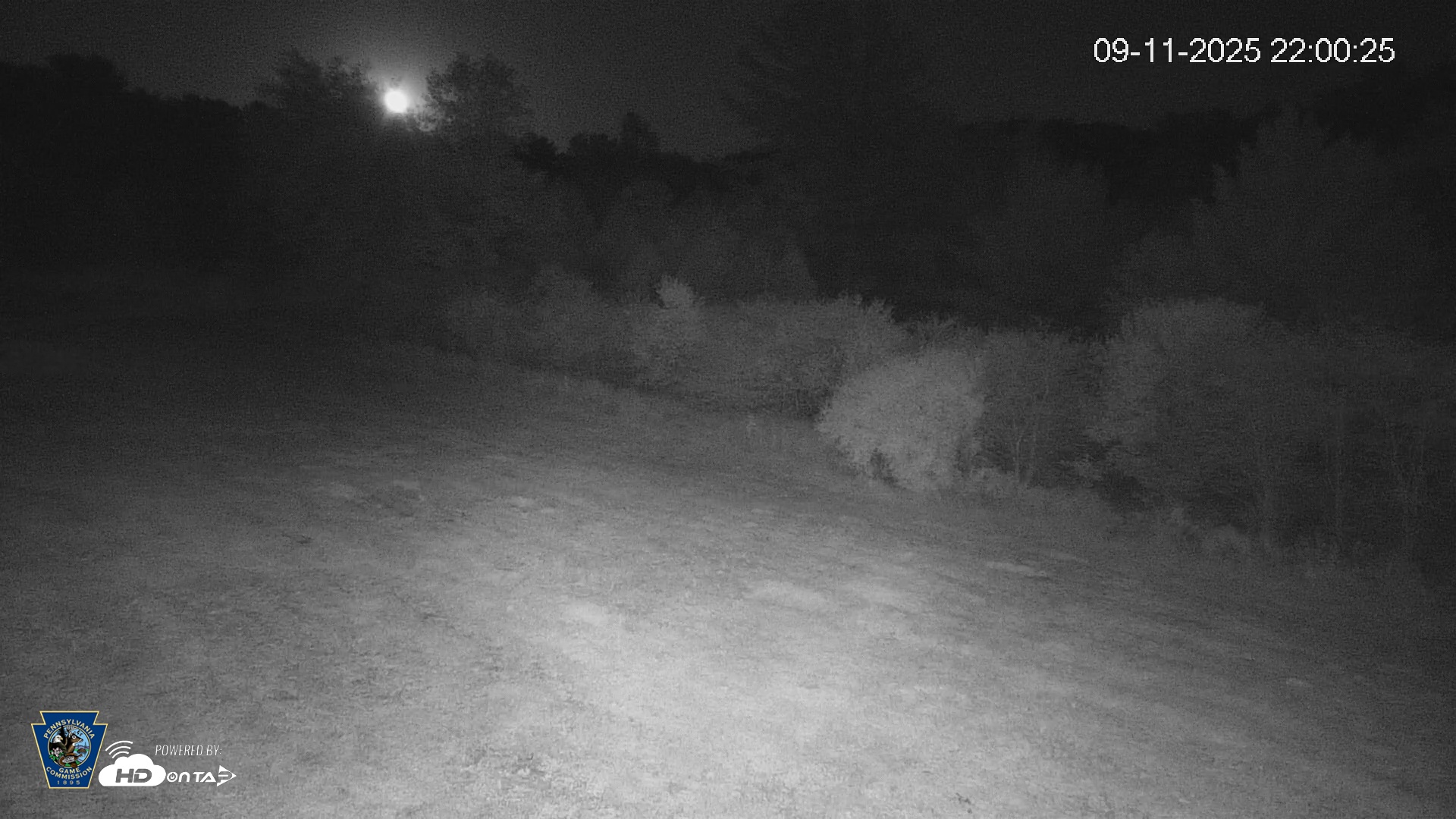 Snapshot of Pennsylvania Elk Live Webcam taken Sep 11, 2025, 10:01pm EDT