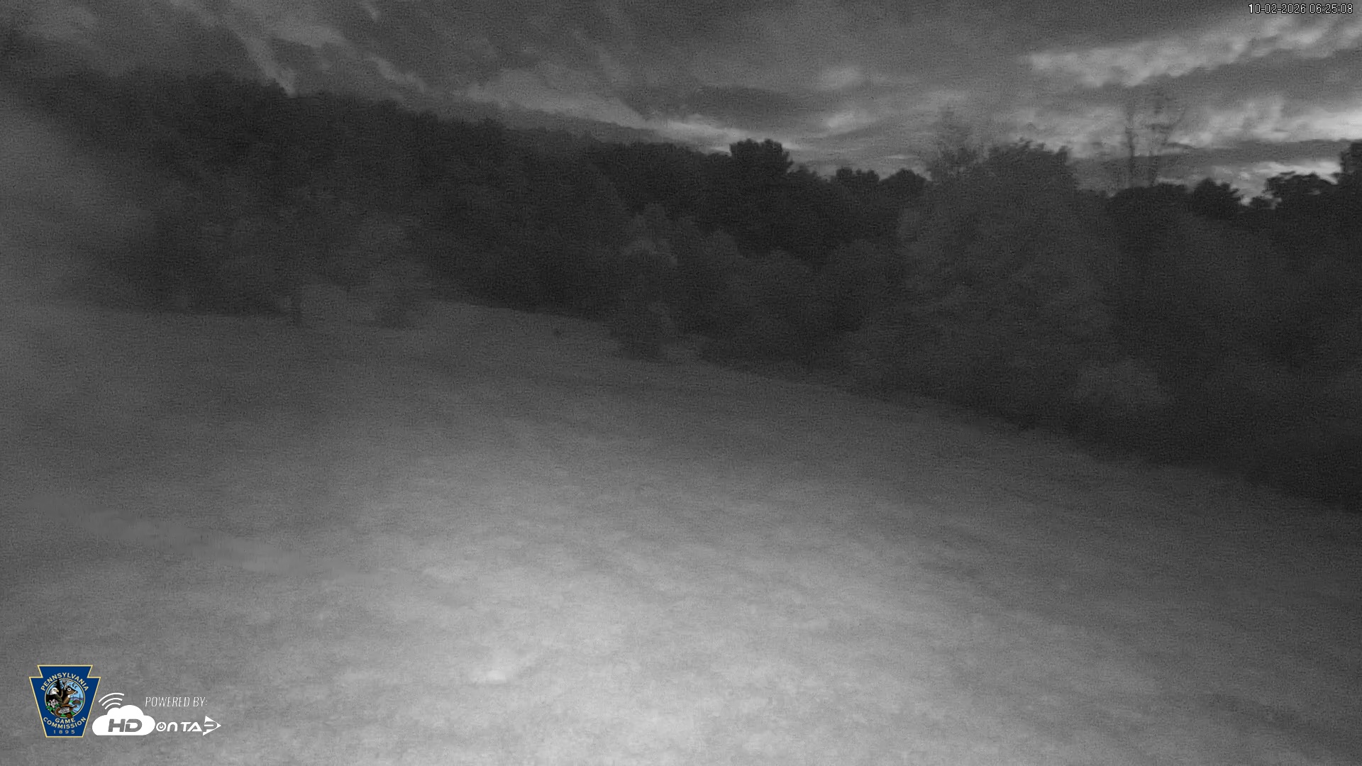 Snapshot of Pennsylvania Elk Live Webcam taken Oct 2, 2026, 6:26am EDT