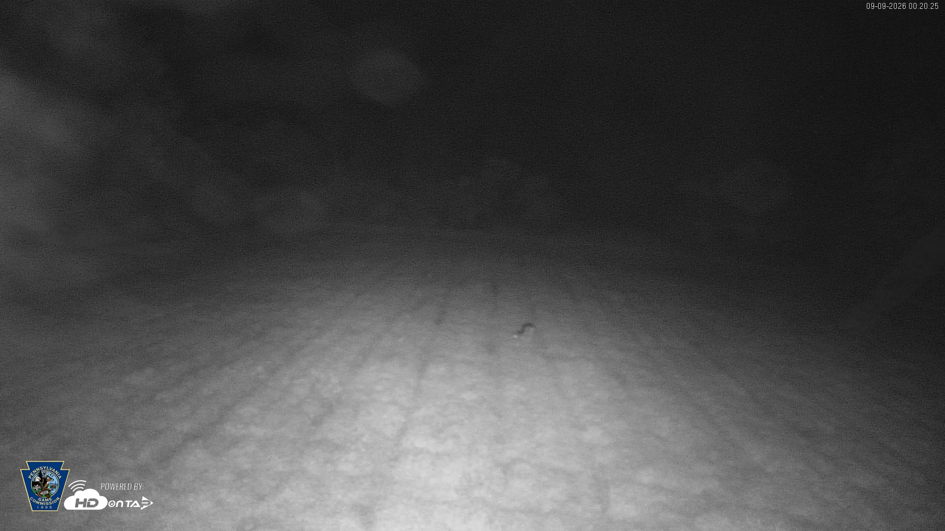 Snapshot of Pennsylvania Elk Live Webcam taken Sep 9, 2026, 12:21am EDT