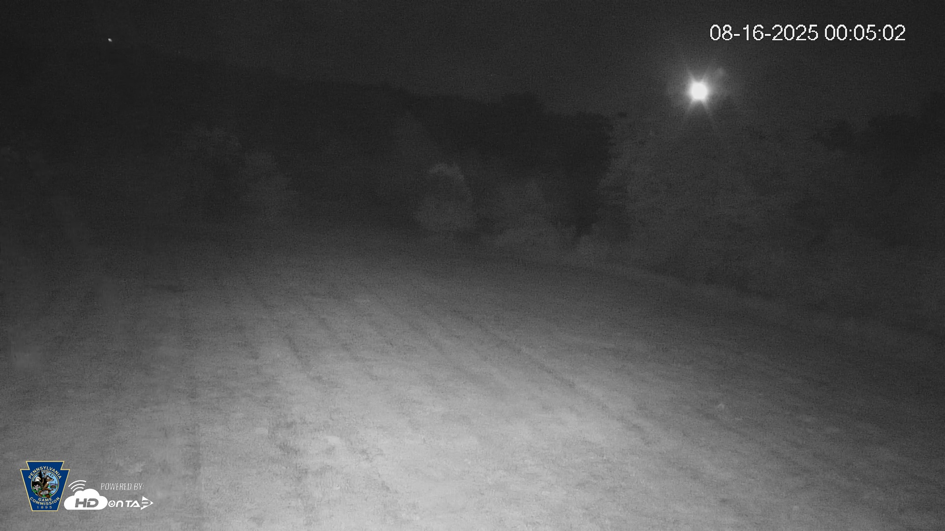 Snapshot of Pennsylvania Elk Live Webcam taken Aug 16, 2025, 12:05am EDT
