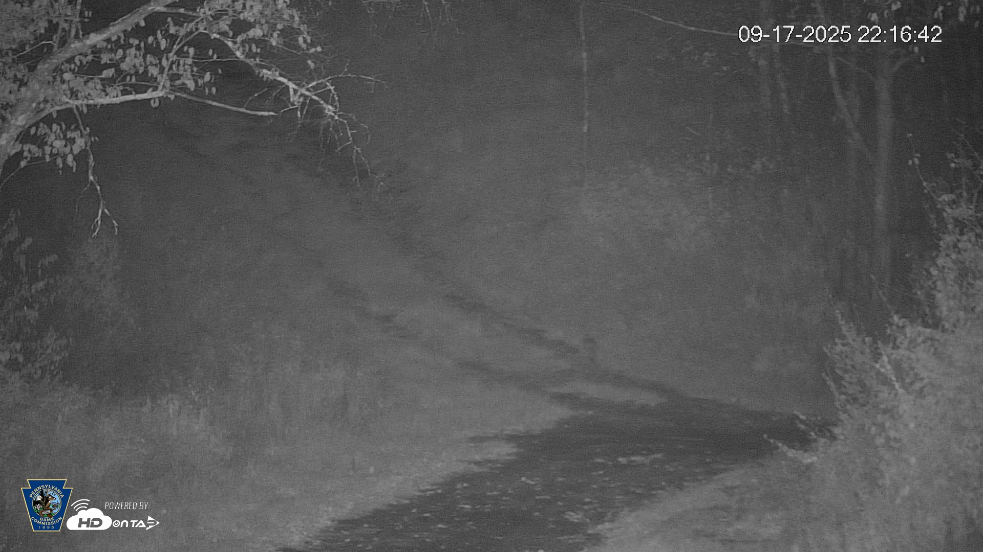 Snapshot of Pennsylvania Elk Live Webcam taken Sep 17, 2025, 10:17pm EDT