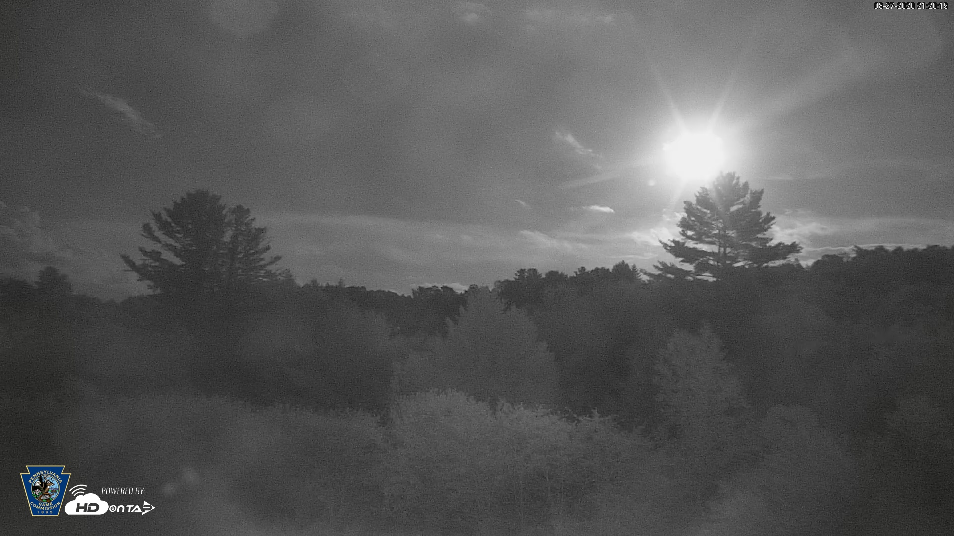 Snapshot of Pennsylvania Elk Live Webcam taken Aug 27, 2026, 9:21pm EDT