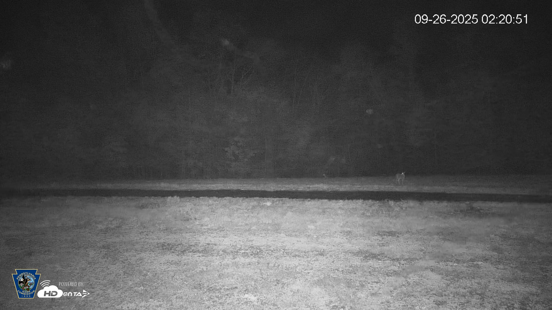 Snapshot of Pennsylvania Elk Live Webcam taken Sep 26, 2025, 2:21am EDT