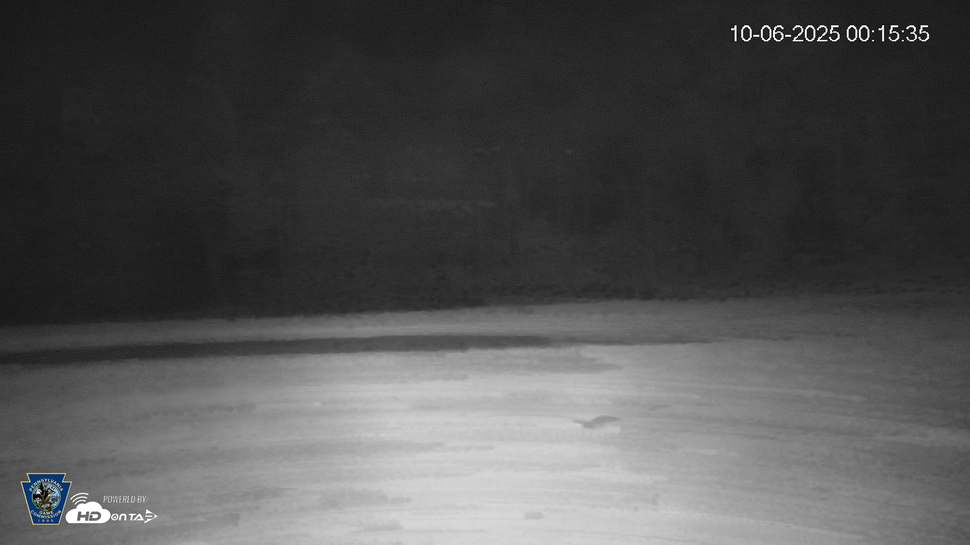 Snapshot of Pennsylvania Elk Live Webcam taken Oct 6, 2025, 12:16am EDT