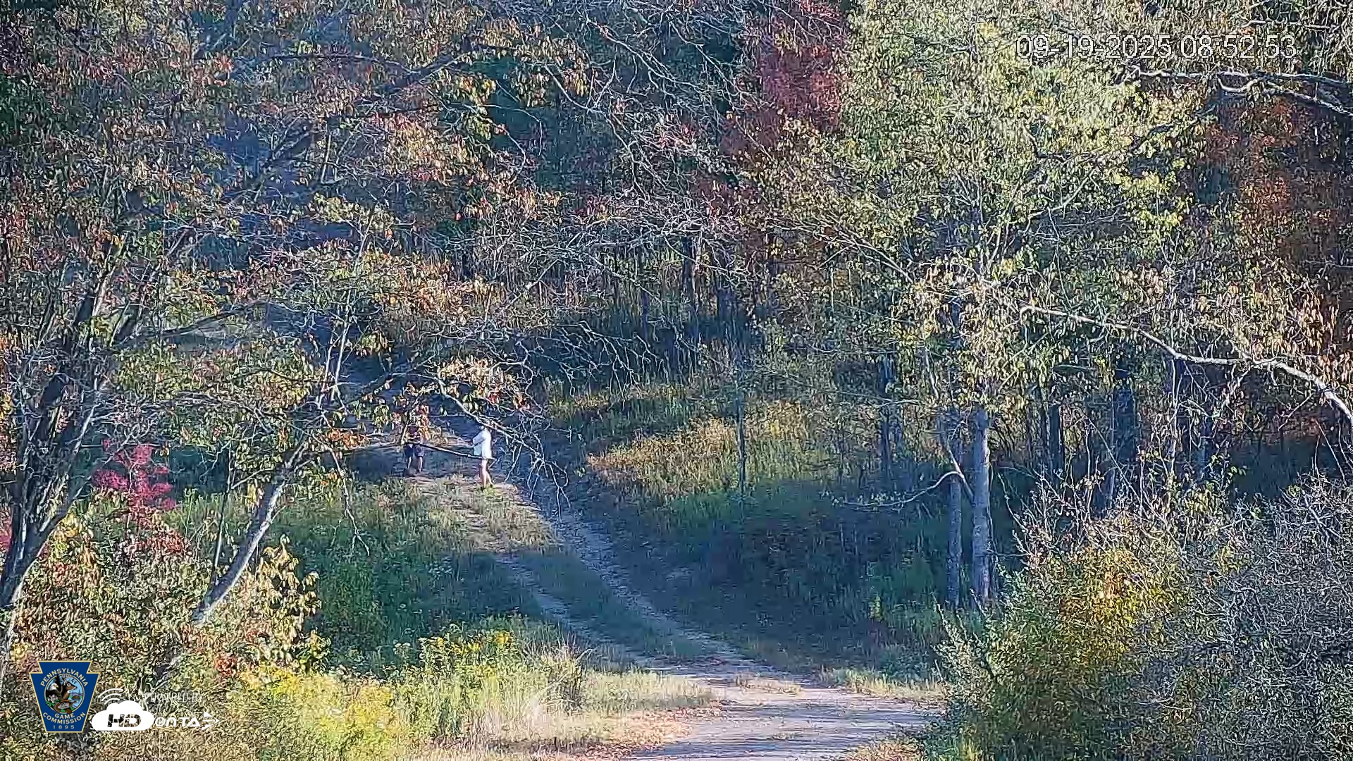 Snapshot of Pennsylvania Elk Live Webcam taken Sep 19, 2025, 8:53am EDT