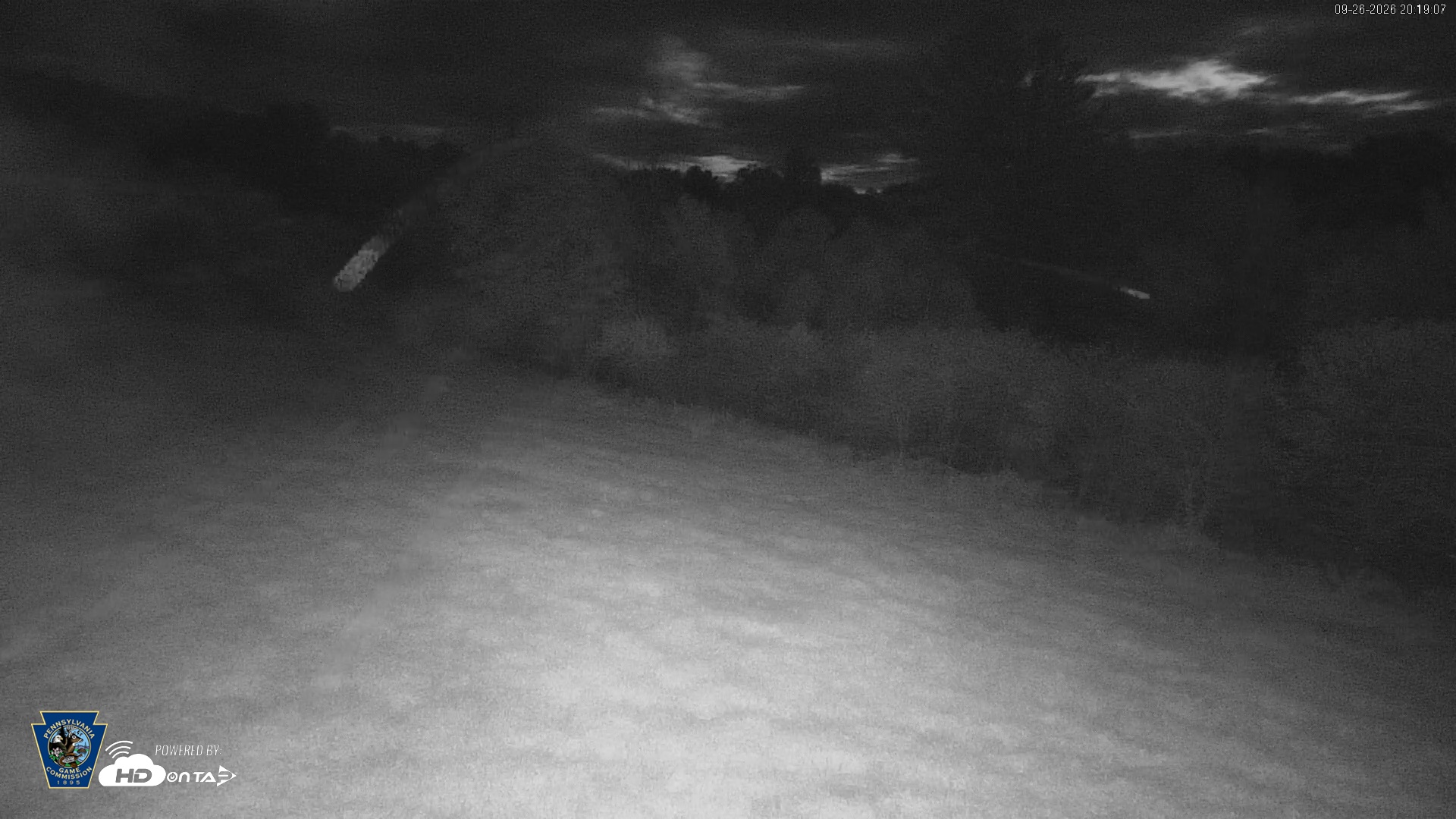 Snapshot of Pennsylvania Elk Live Webcam taken Sep 26, 2026, 8:19pm EDT