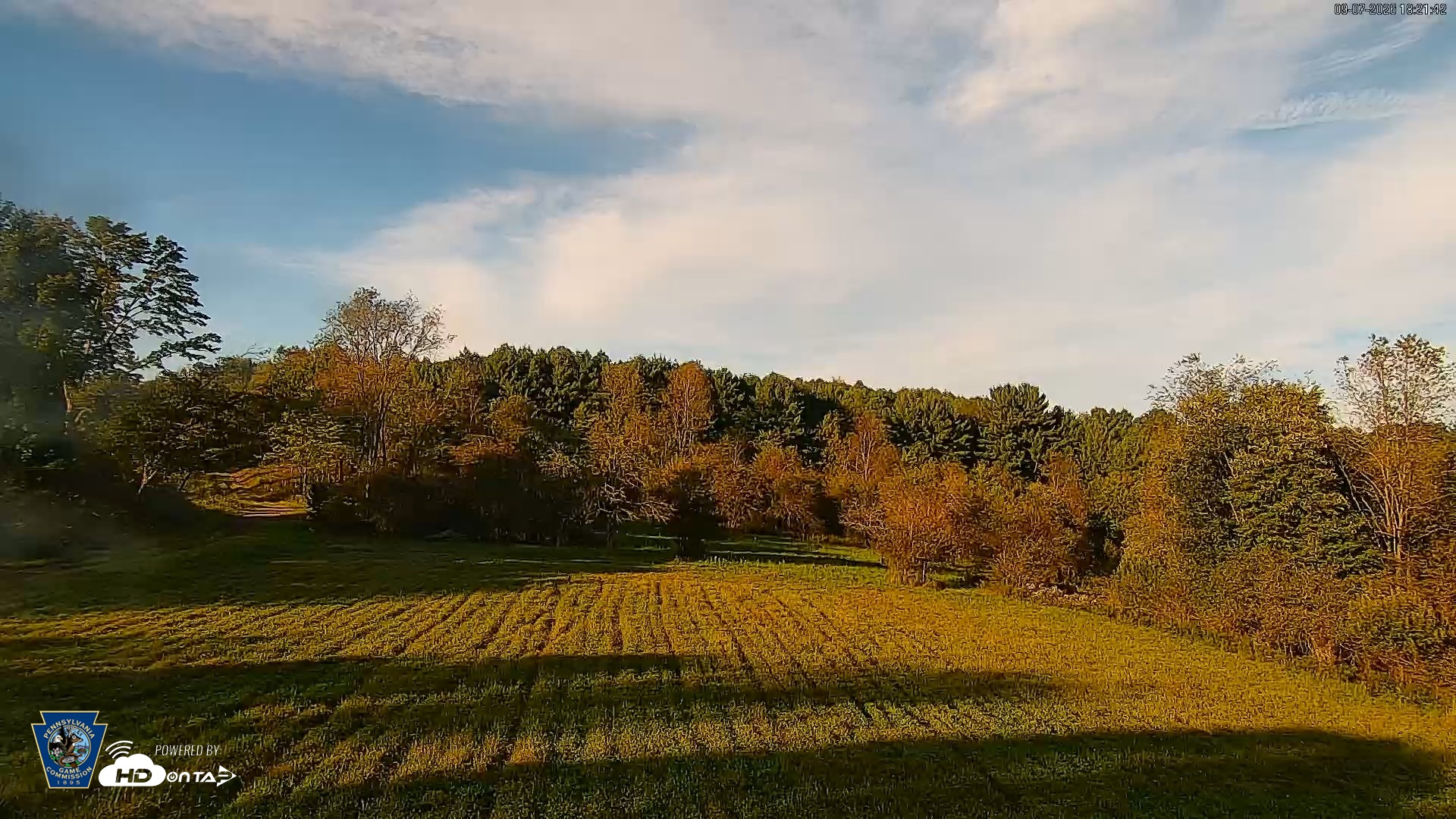 Snapshot of Pennsylvania Elk Live Webcam taken Sep 7, 2026, 6:22pm EDT