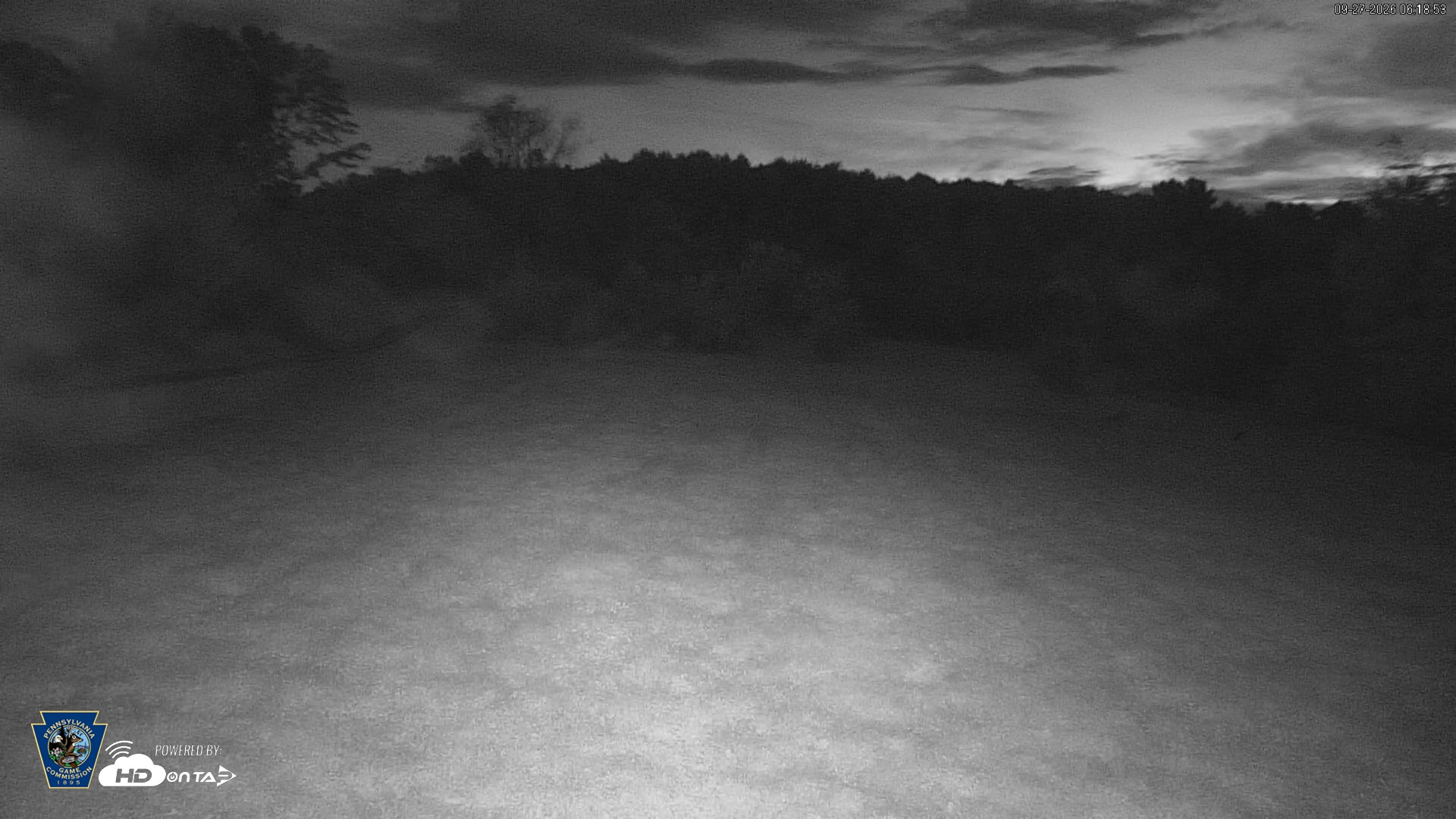 Snapshot of Pennsylvania Elk Live Webcam taken Sep 27, 2026, 6:20am EDT