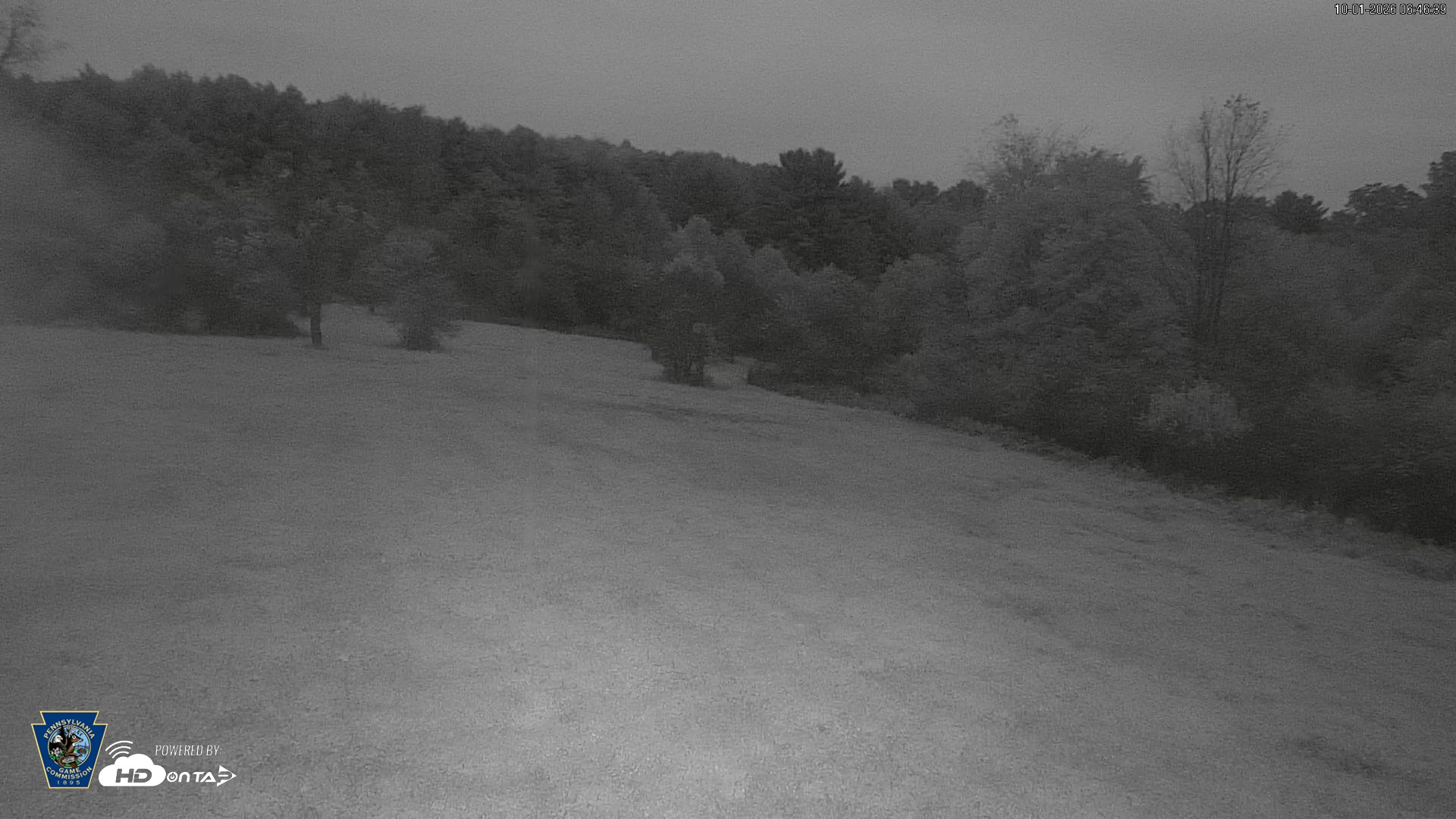 Snapshot of Pennsylvania Elk Live Webcam taken Oct 1, 2026, 6:47am EDT