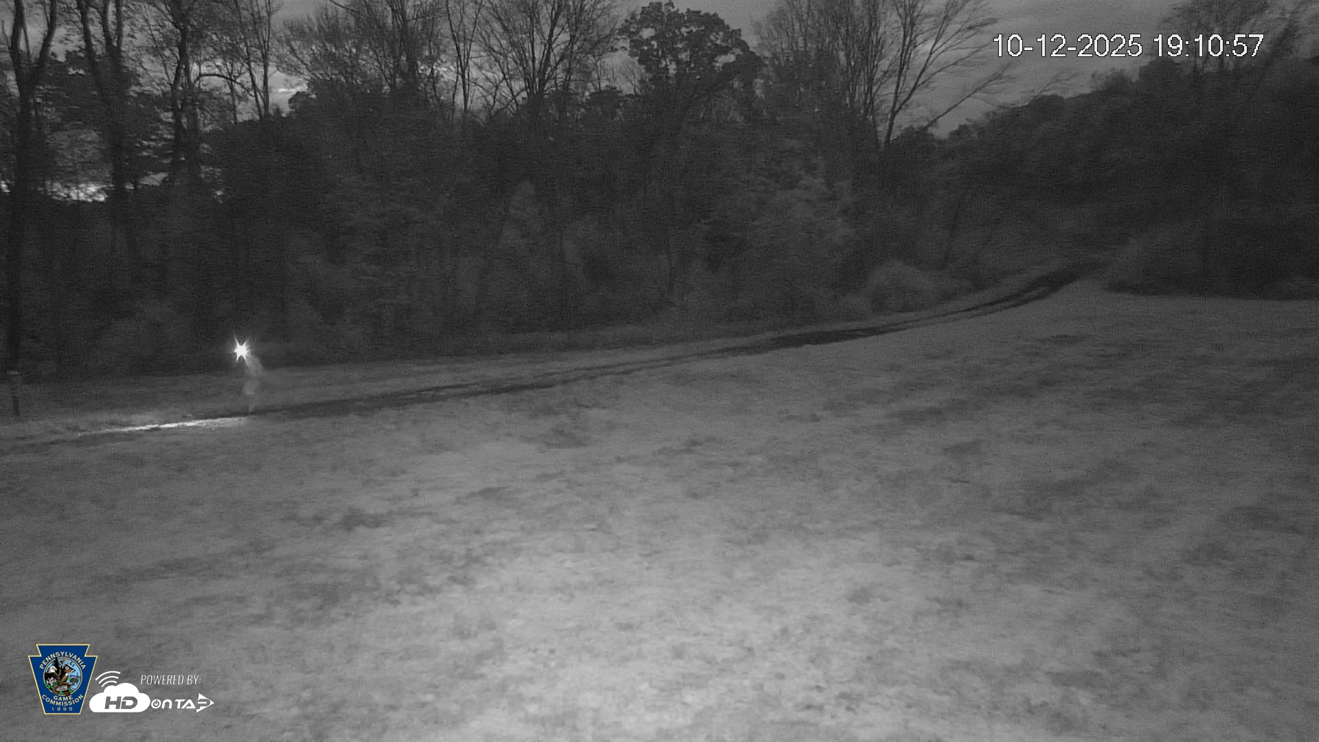 Snapshot of Pennsylvania Elk Live Webcam taken Oct 12, 2025, 7:11pm EDT