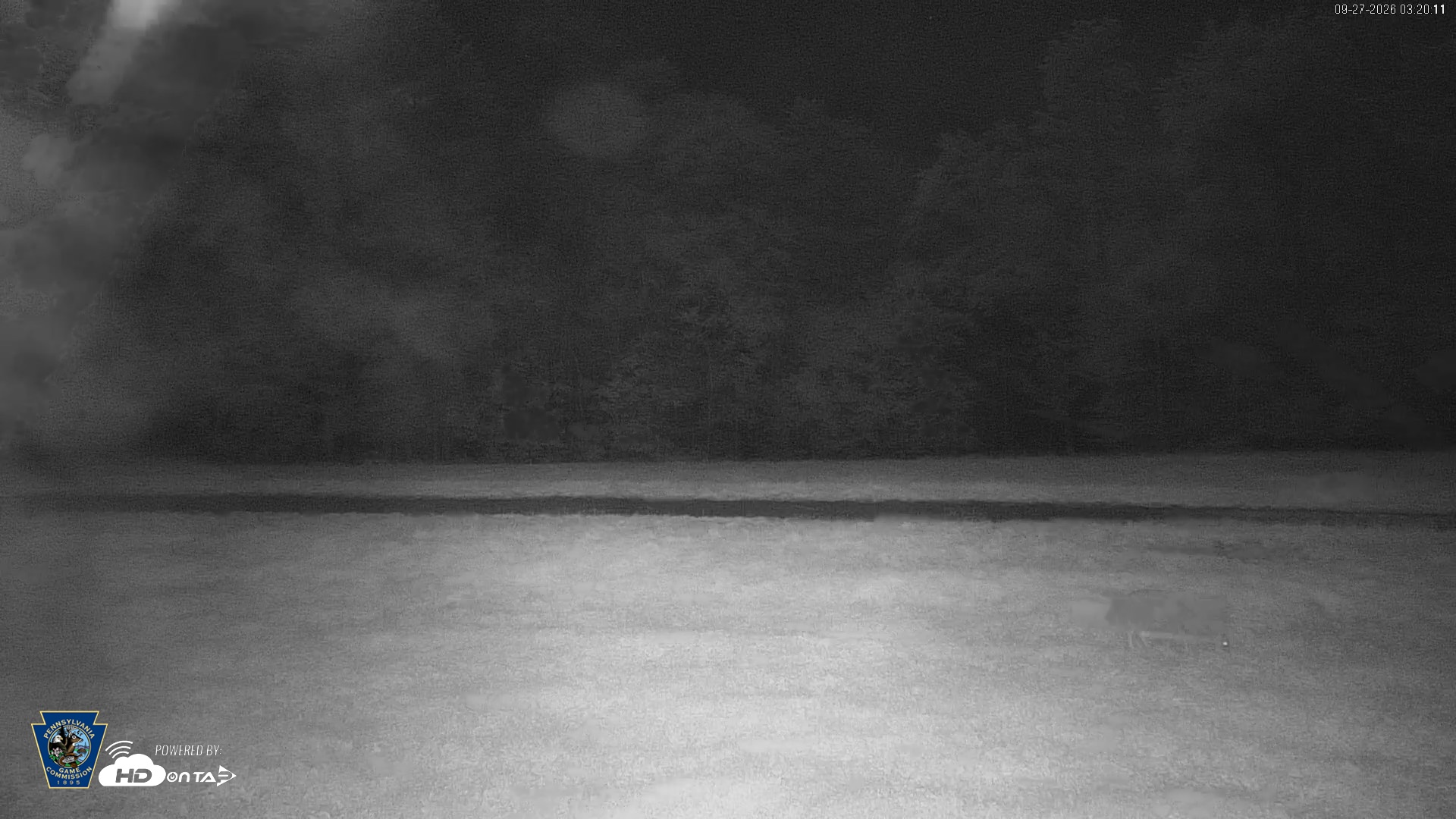 Snapshot of Pennsylvania Elk Live Webcam taken Sep 27, 2026, 3:20am EDT