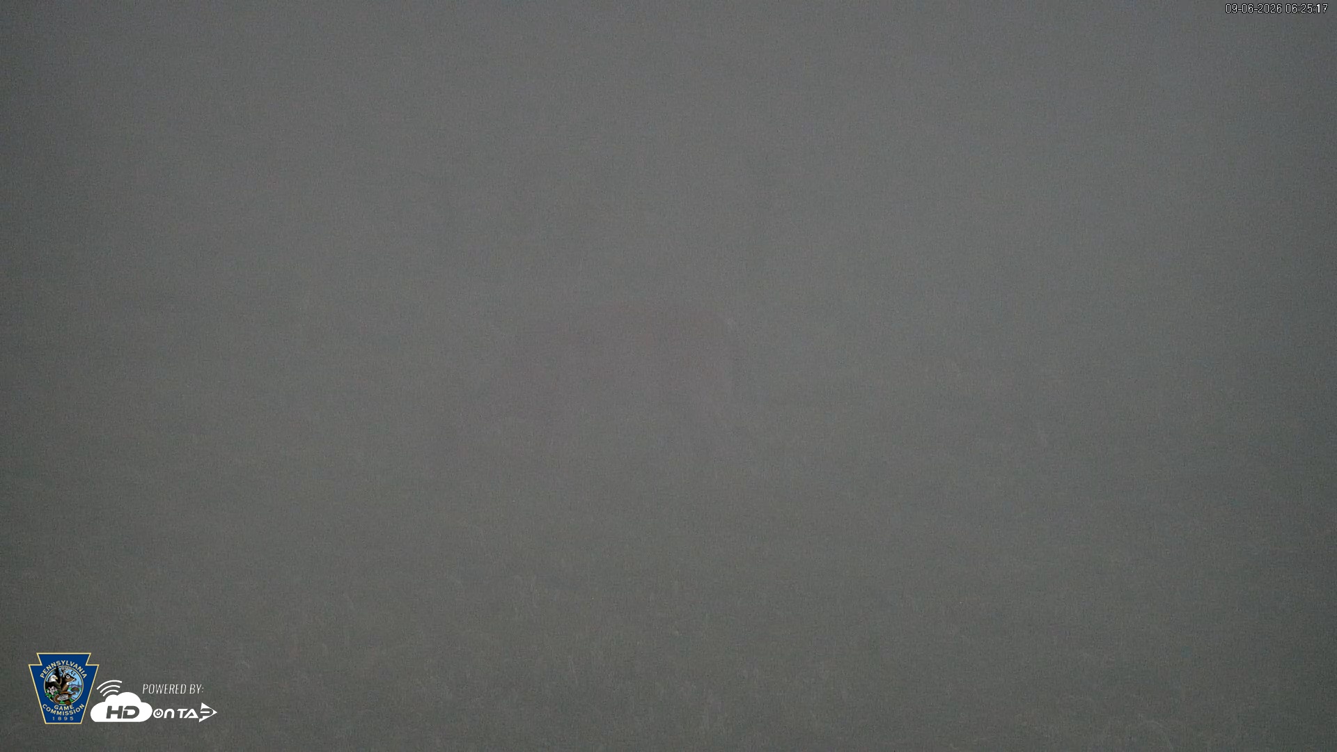 Snapshot of Pennsylvania Elk Live Webcam taken Sep 6, 2026, 6:26am EDT