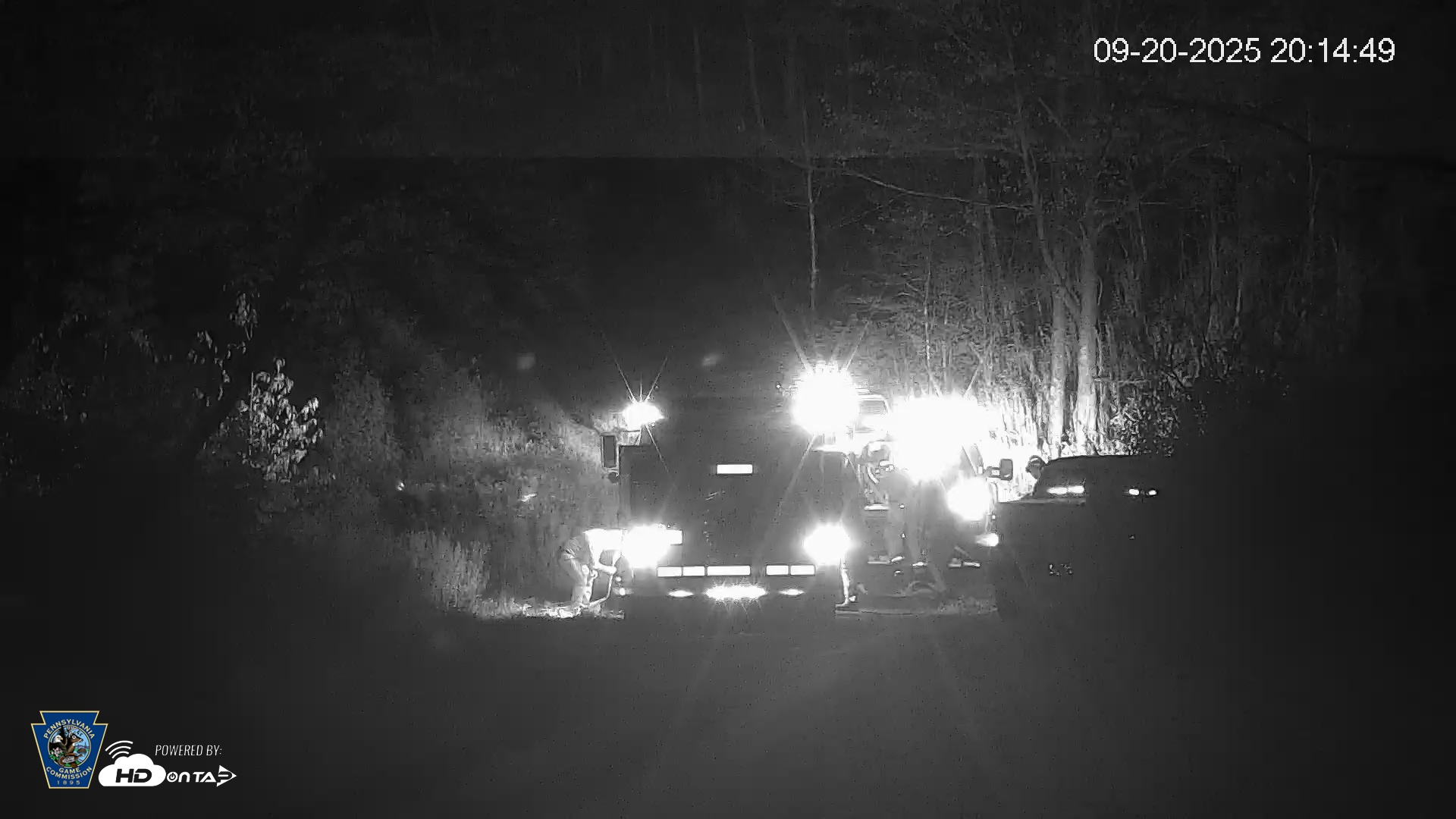 Snapshot of Pennsylvania Elk Live Webcam taken Sep 20, 2025, 8:15pm EDT