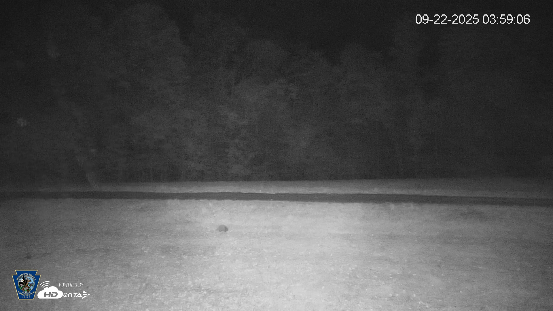 Snapshot of Pennsylvania Elk Live Webcam taken Sep 22, 2025, 3:59am EDT