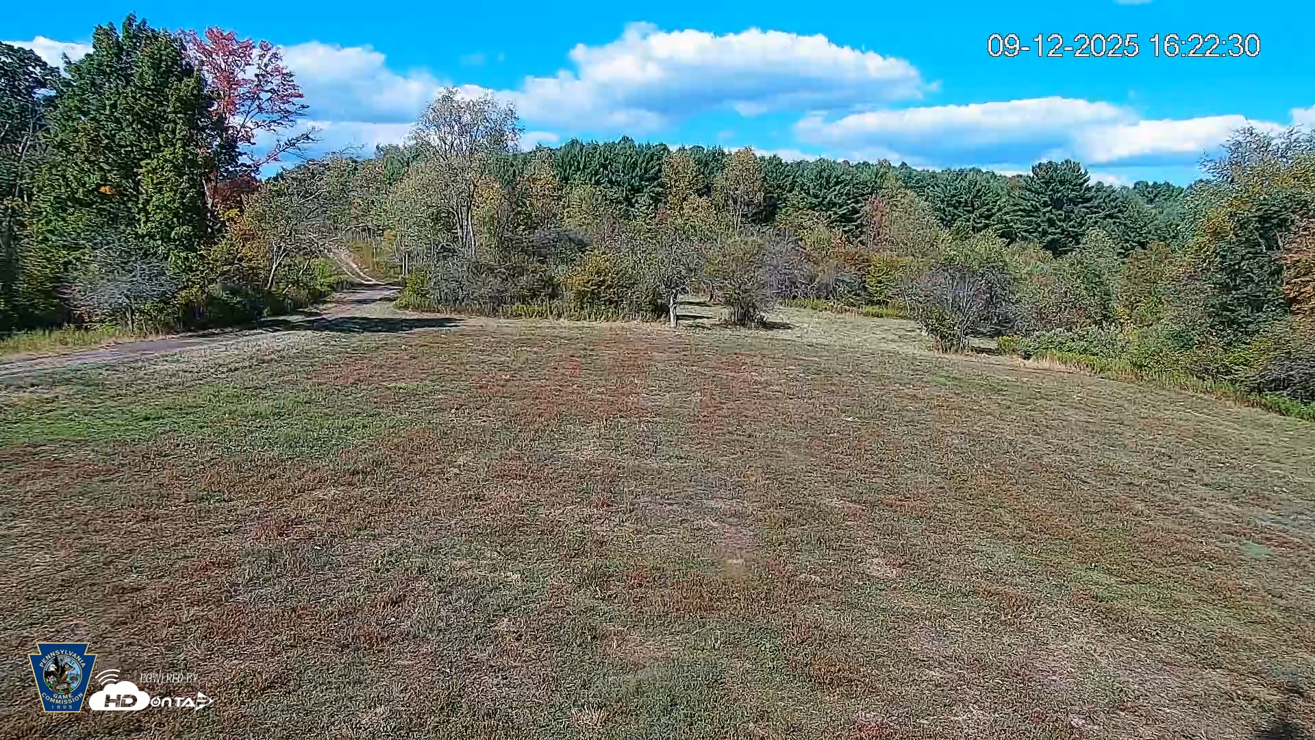 Snapshot of Pennsylvania Elk Live Webcam taken Sep 12, 2025, 4:23pm EDT