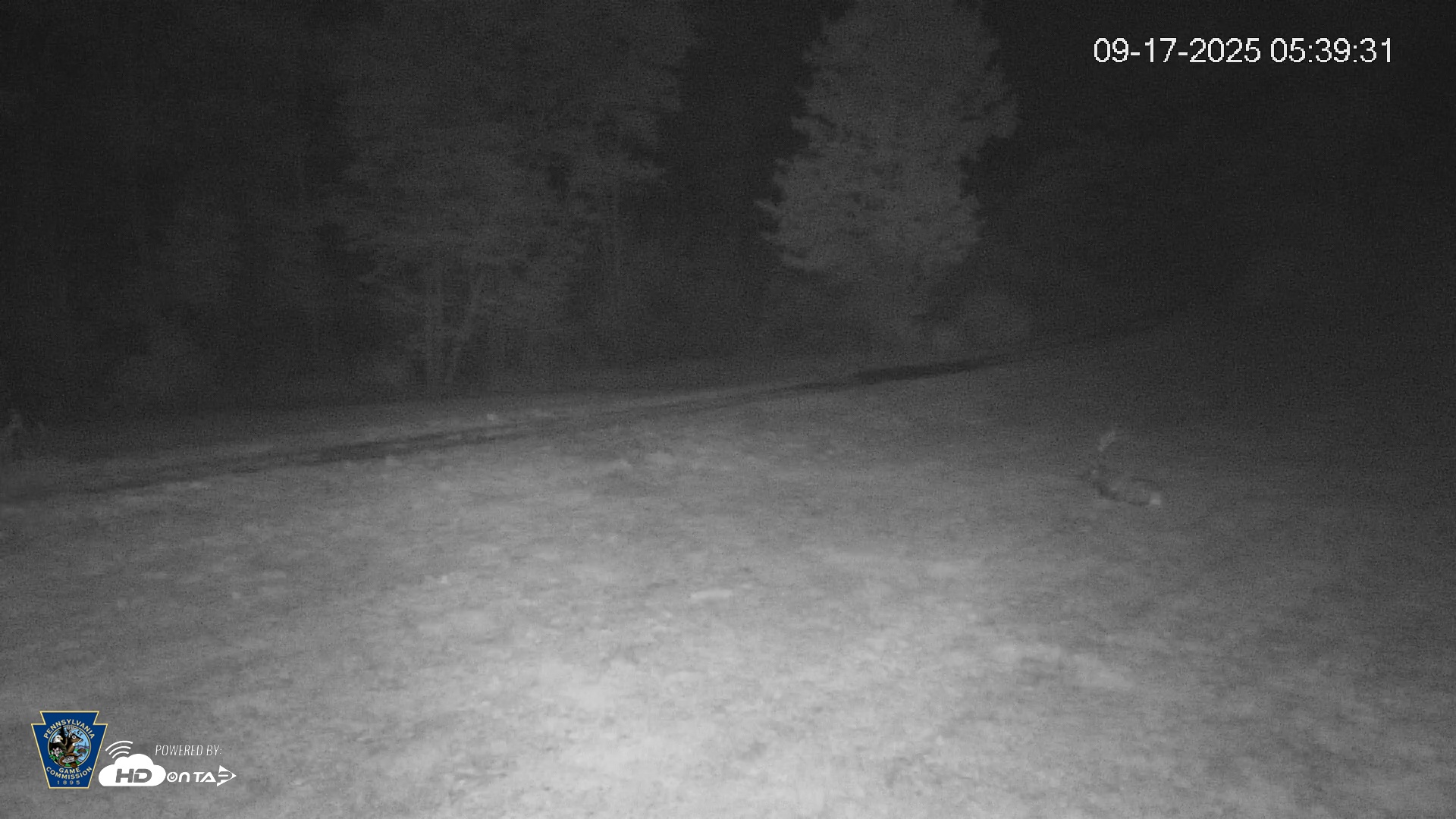 Snapshot of Pennsylvania Elk Live Webcam taken Sep 17, 2025, 5:40am EDT