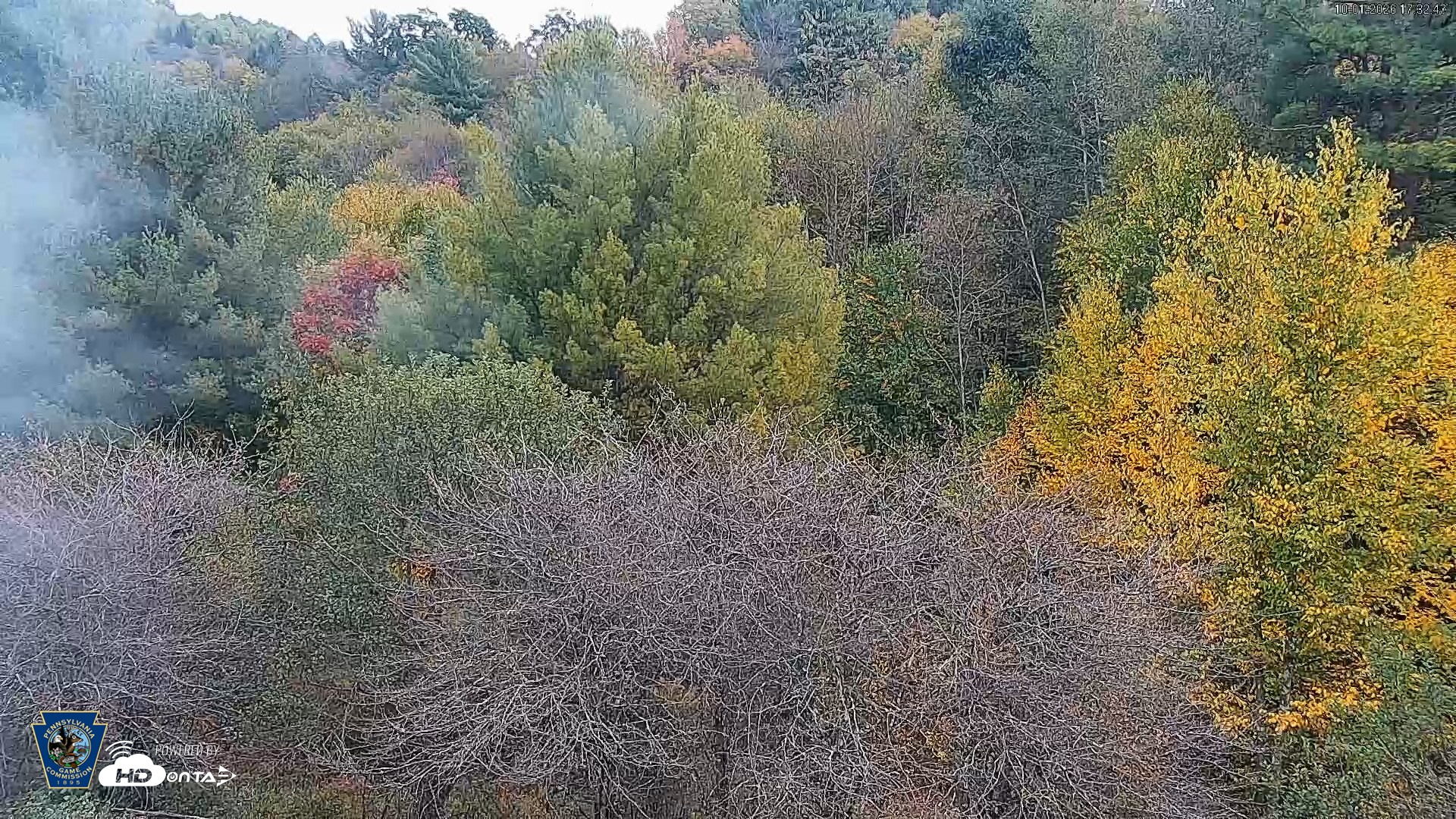 Snapshot of Pennsylvania Elk Live Webcam taken Oct 1, 2026, 5:33pm EDT