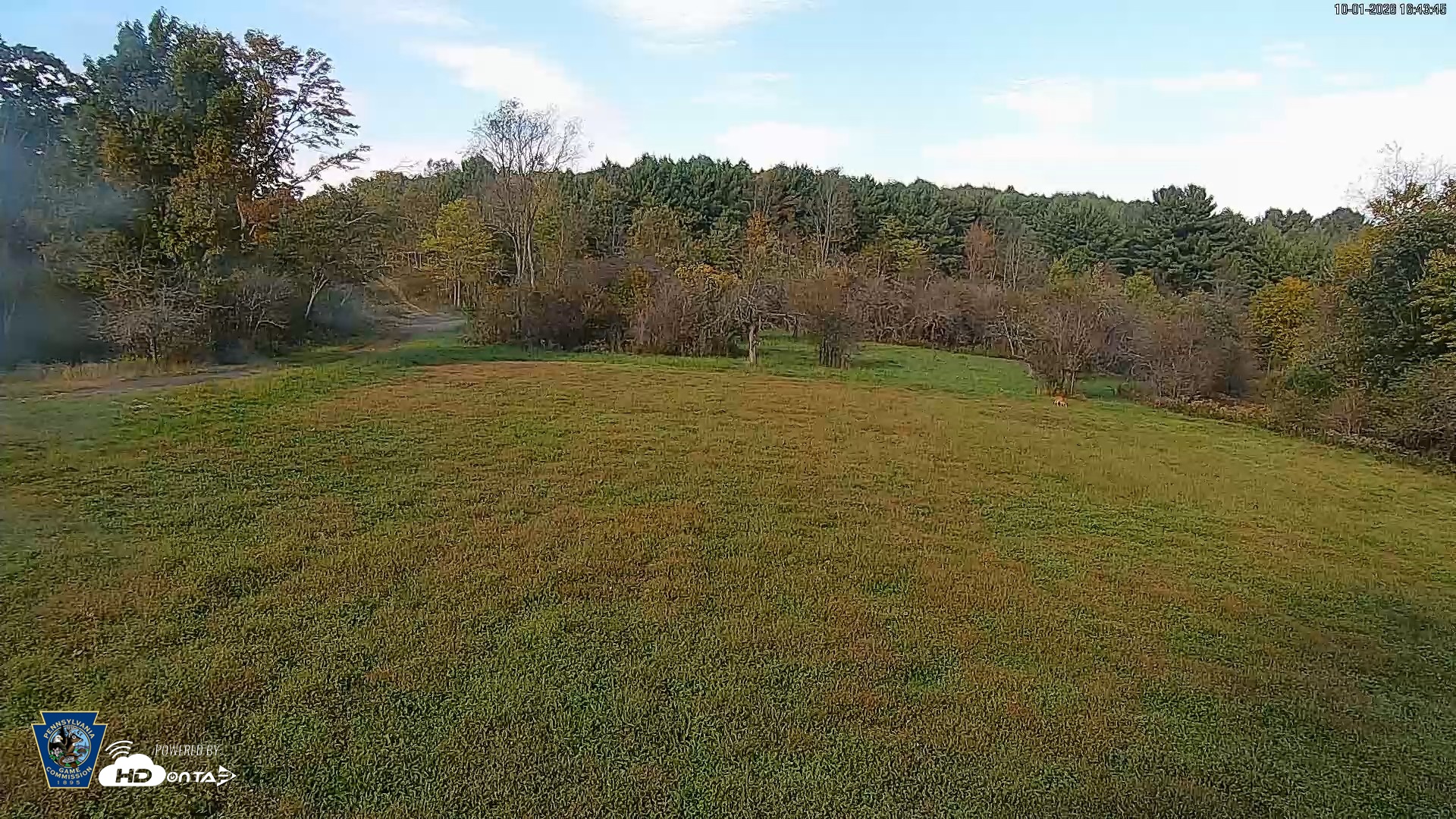 Snapshot of Pennsylvania Elk Live Webcam taken Oct 1, 2026, 4:44pm EDT