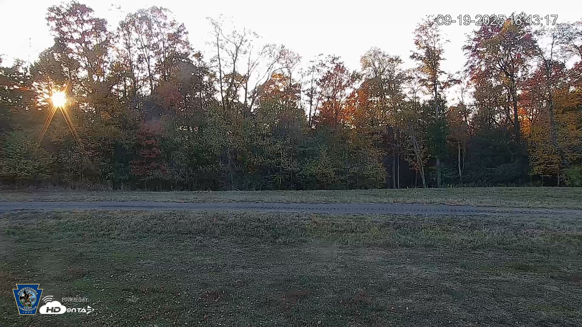 Snapshot of Pennsylvania Elk Live Webcam taken Sep 19, 2025, 6:44pm EDT