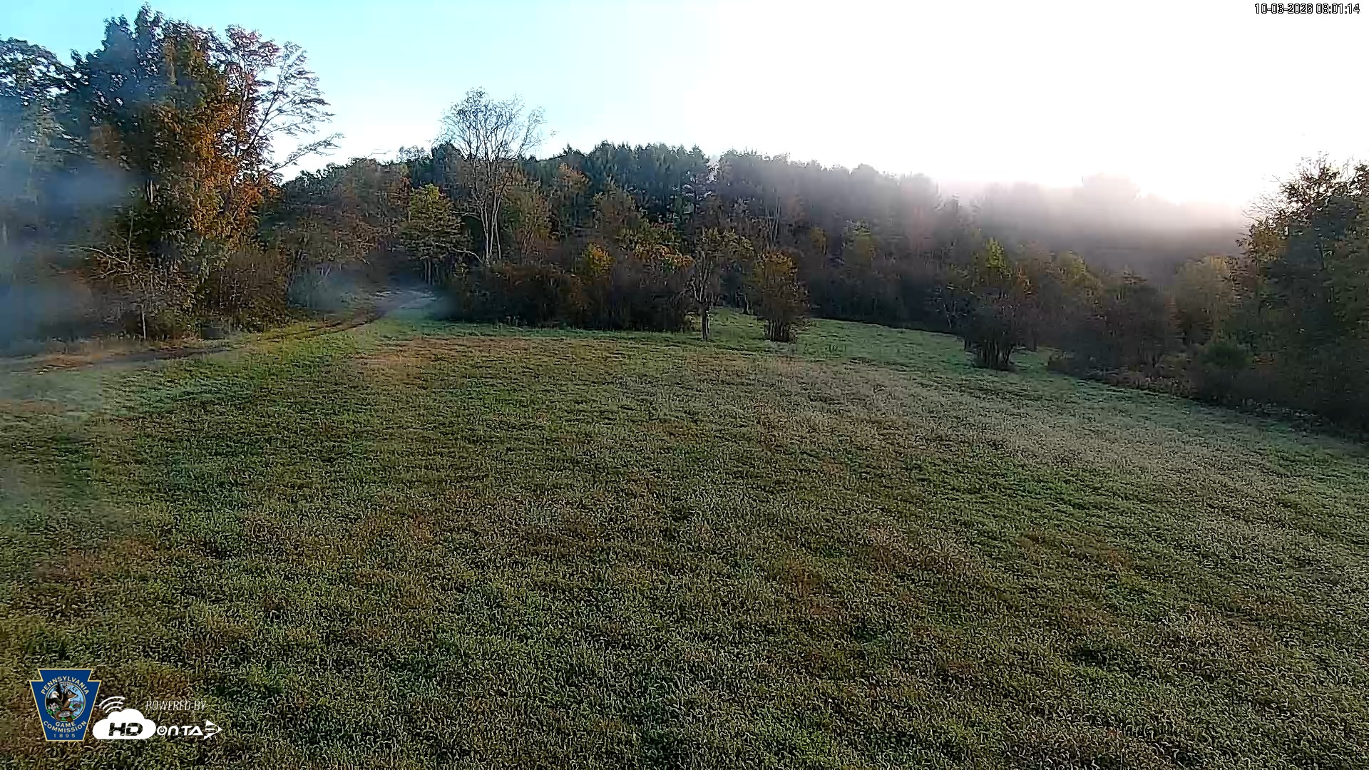 Snapshot of Pennsylvania Elk Live Webcam taken Oct 3, 2026, 8:02am EDT