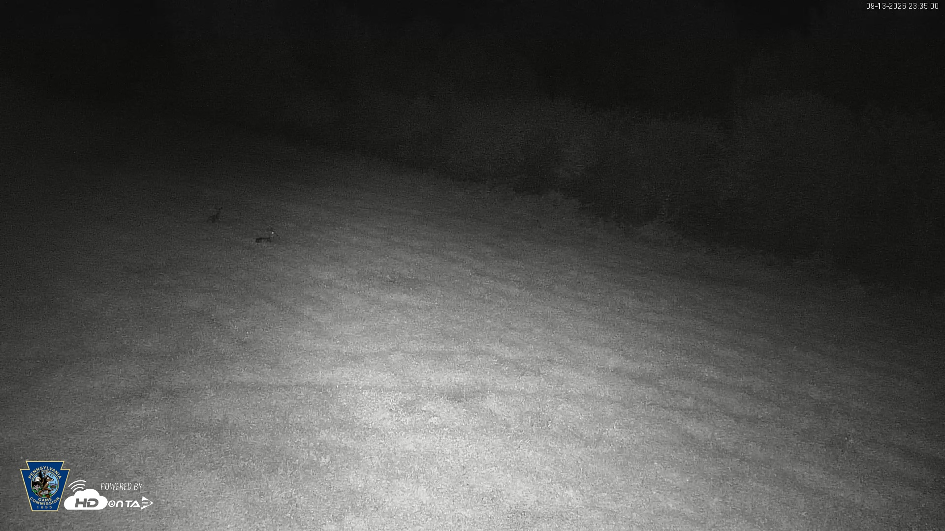 Snapshot of Pennsylvania Elk Live Webcam taken Sep 13, 2026, 11:37pm EDT
