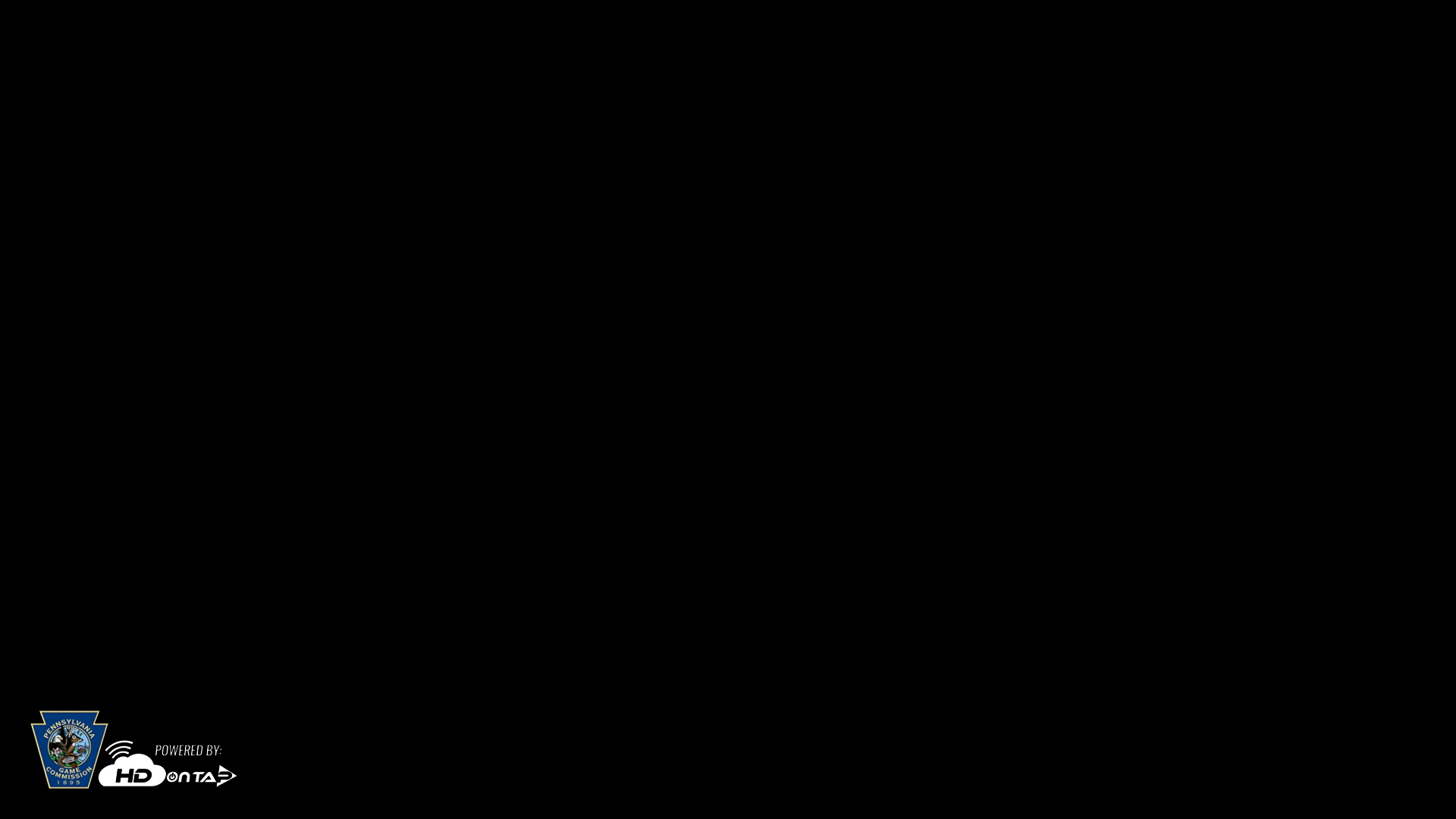 Snapshot of Pennsylvania Elk Live Webcam taken Sep 4, 2025, 8:21pm EDT