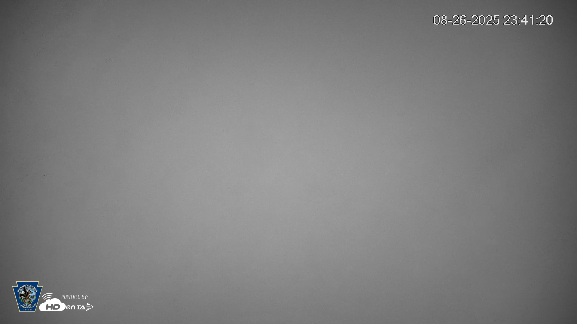Snapshot of Pennsylvania Elk Live Webcam taken Aug 26, 2025, 11:42pm EDT