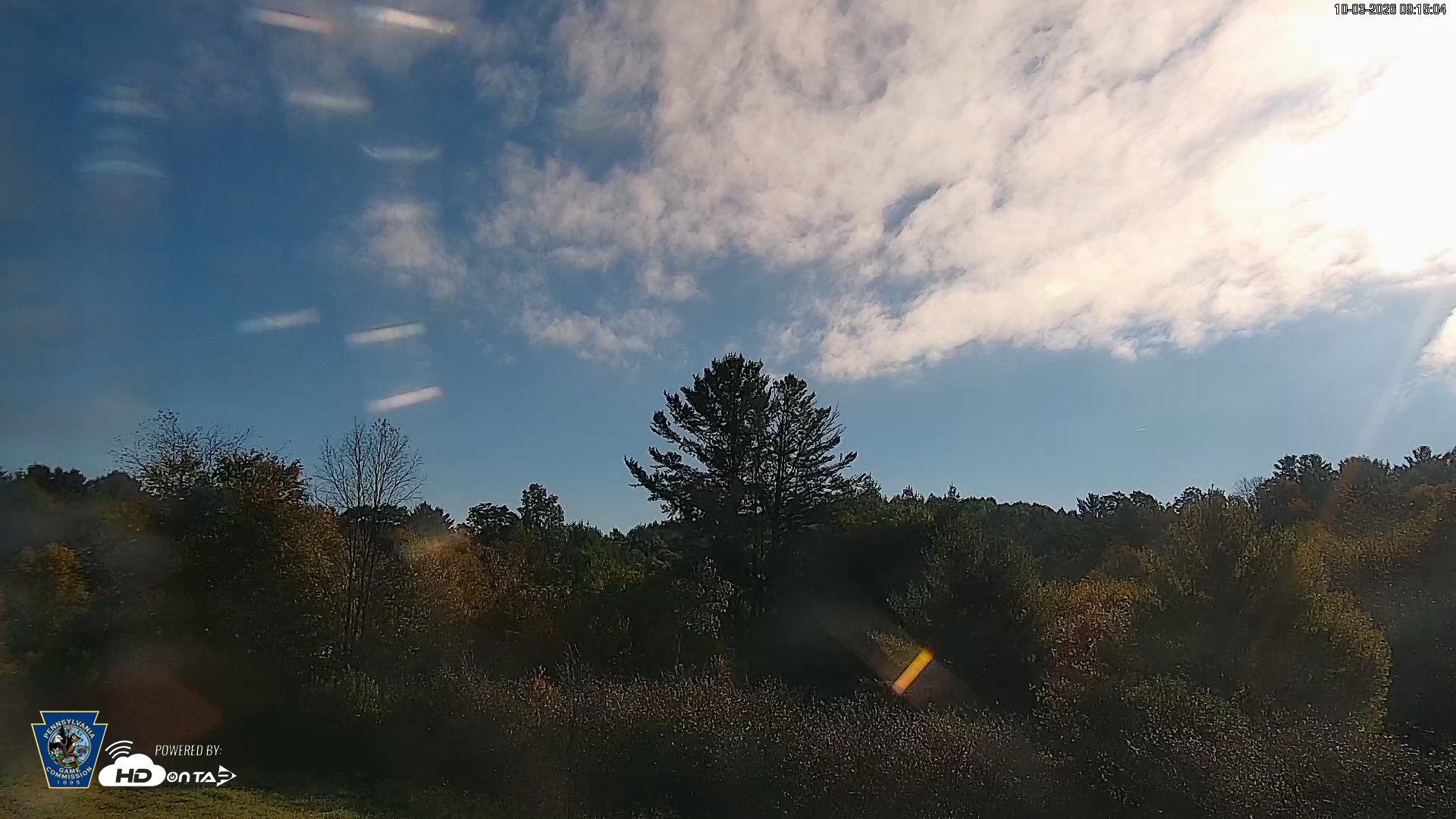 Snapshot of Pennsylvania Elk Live Webcam taken Oct 3, 2026, 9:15am EDT