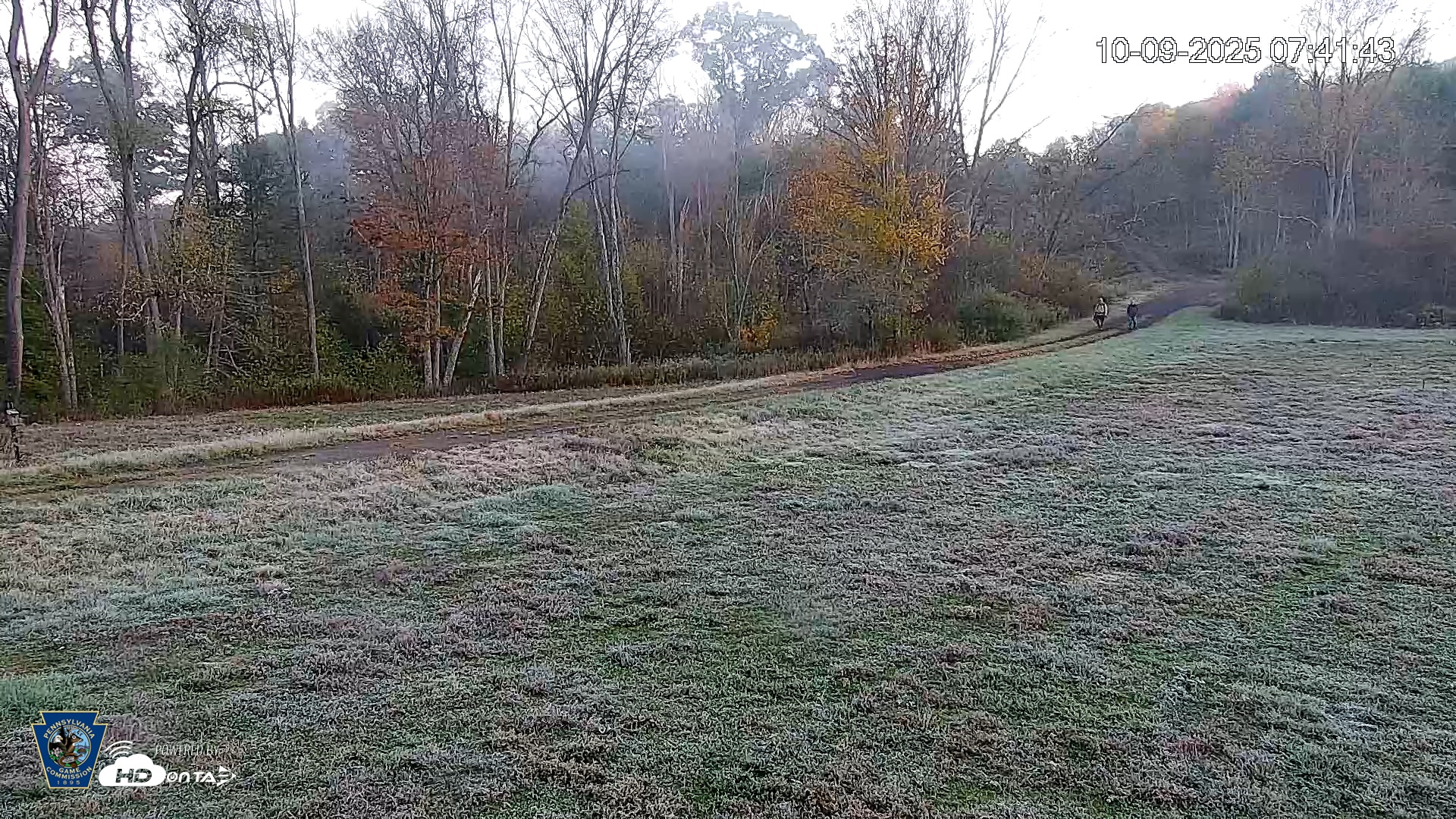 Snapshot of Pennsylvania Elk Live Webcam taken Oct 9, 2025, 7:42am EDT