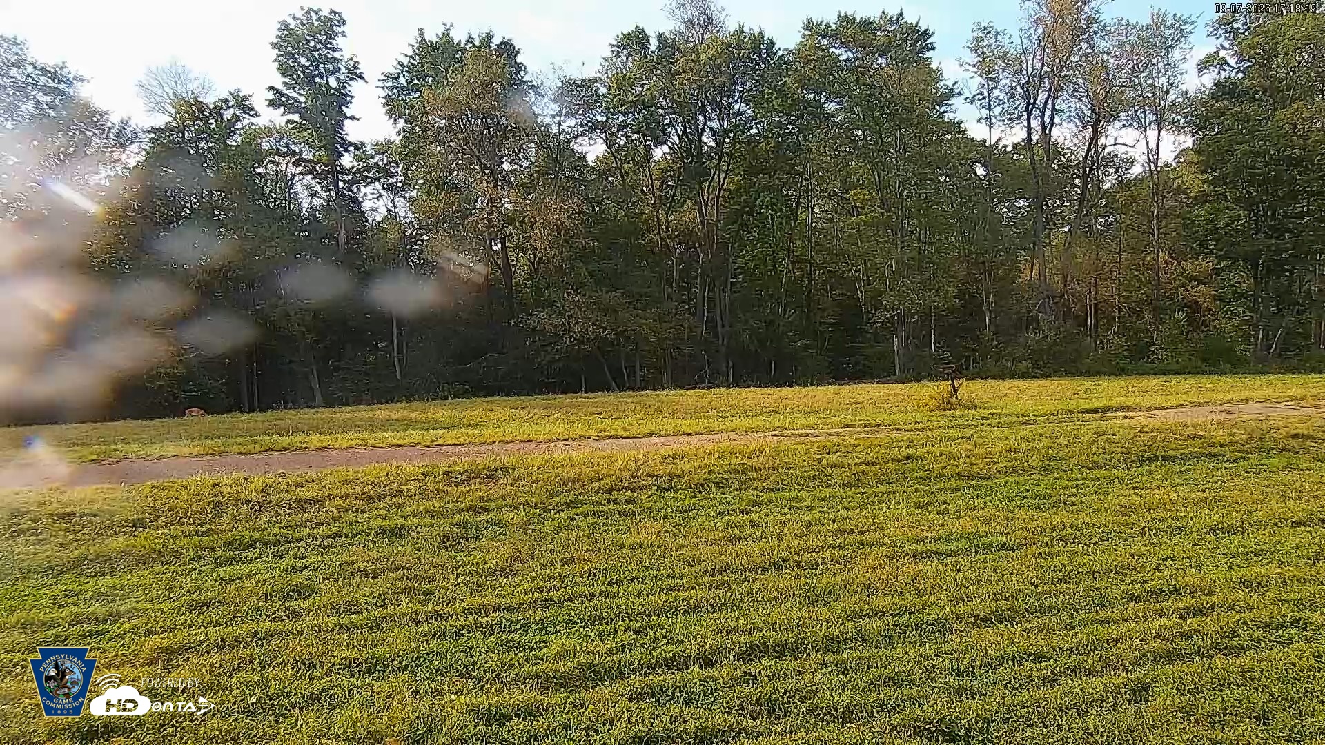 Snapshot of Pennsylvania Elk Live Webcam taken Sep 7, 2026, 5:19pm EDT