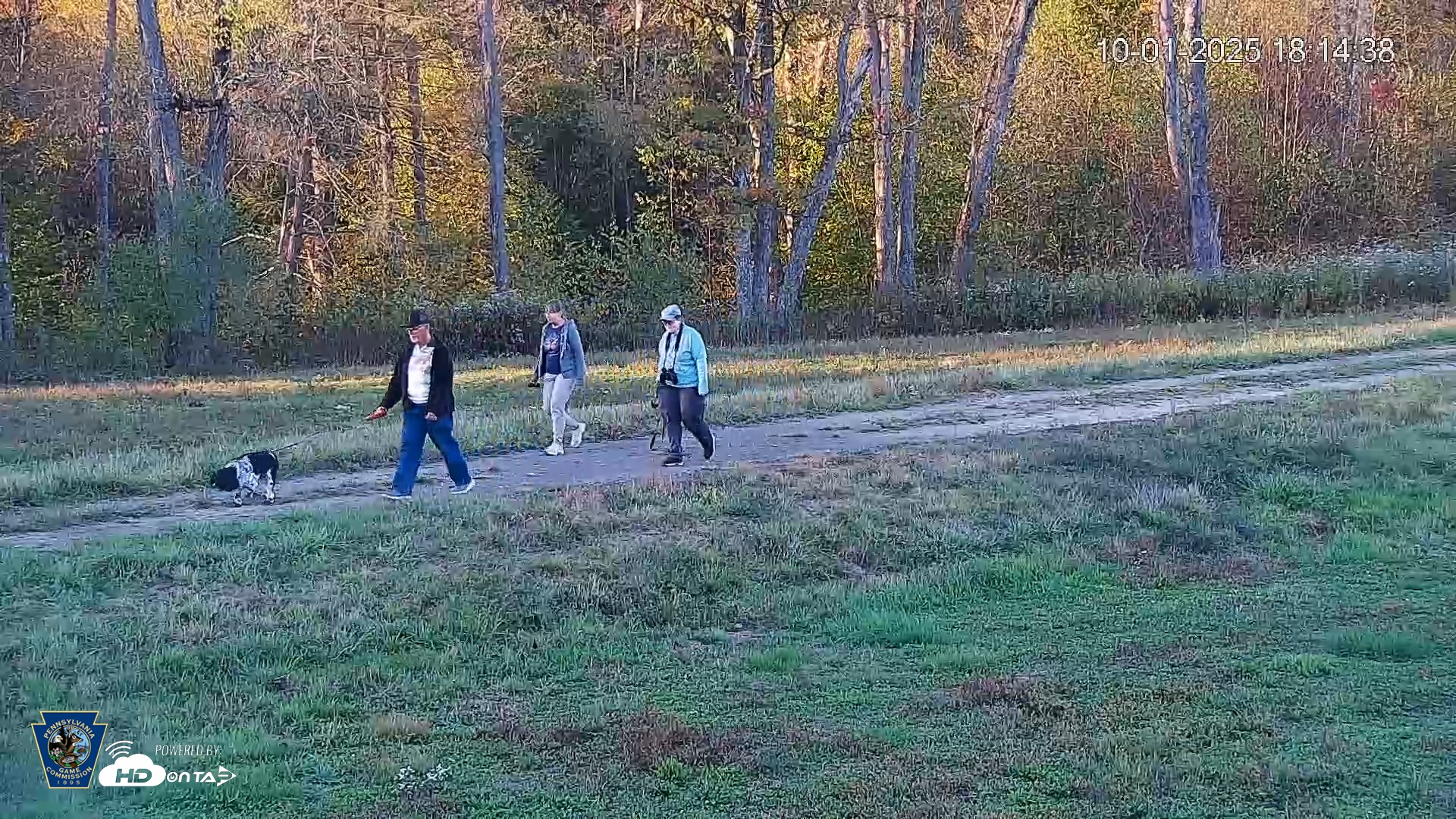 Snapshot of Pennsylvania Elk Live Webcam taken Oct 1, 2025, 6:15pm EDT