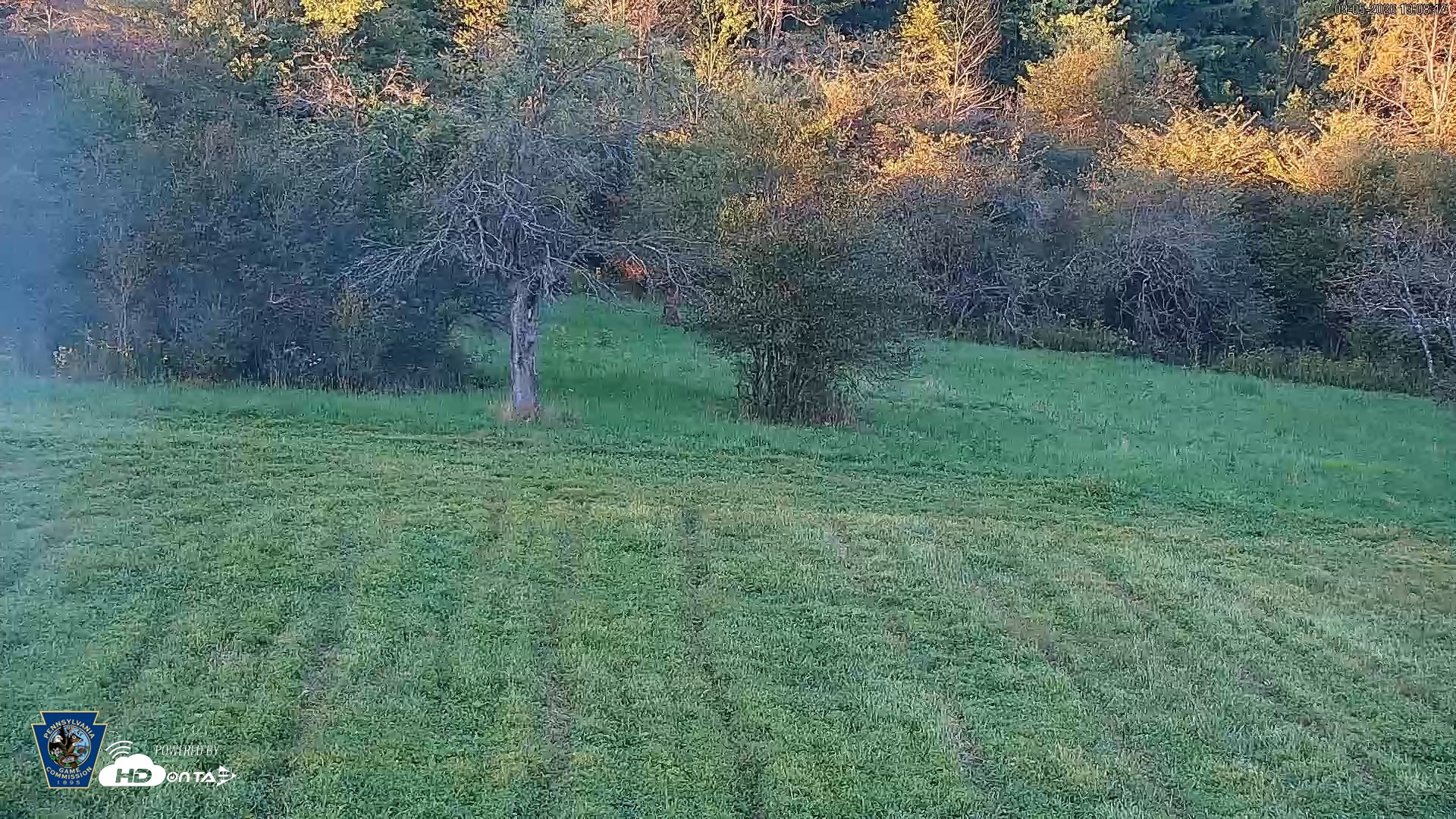 Snapshot of Pennsylvania Elk Live Webcam taken Sep 5, 2026, 7:09pm EDT