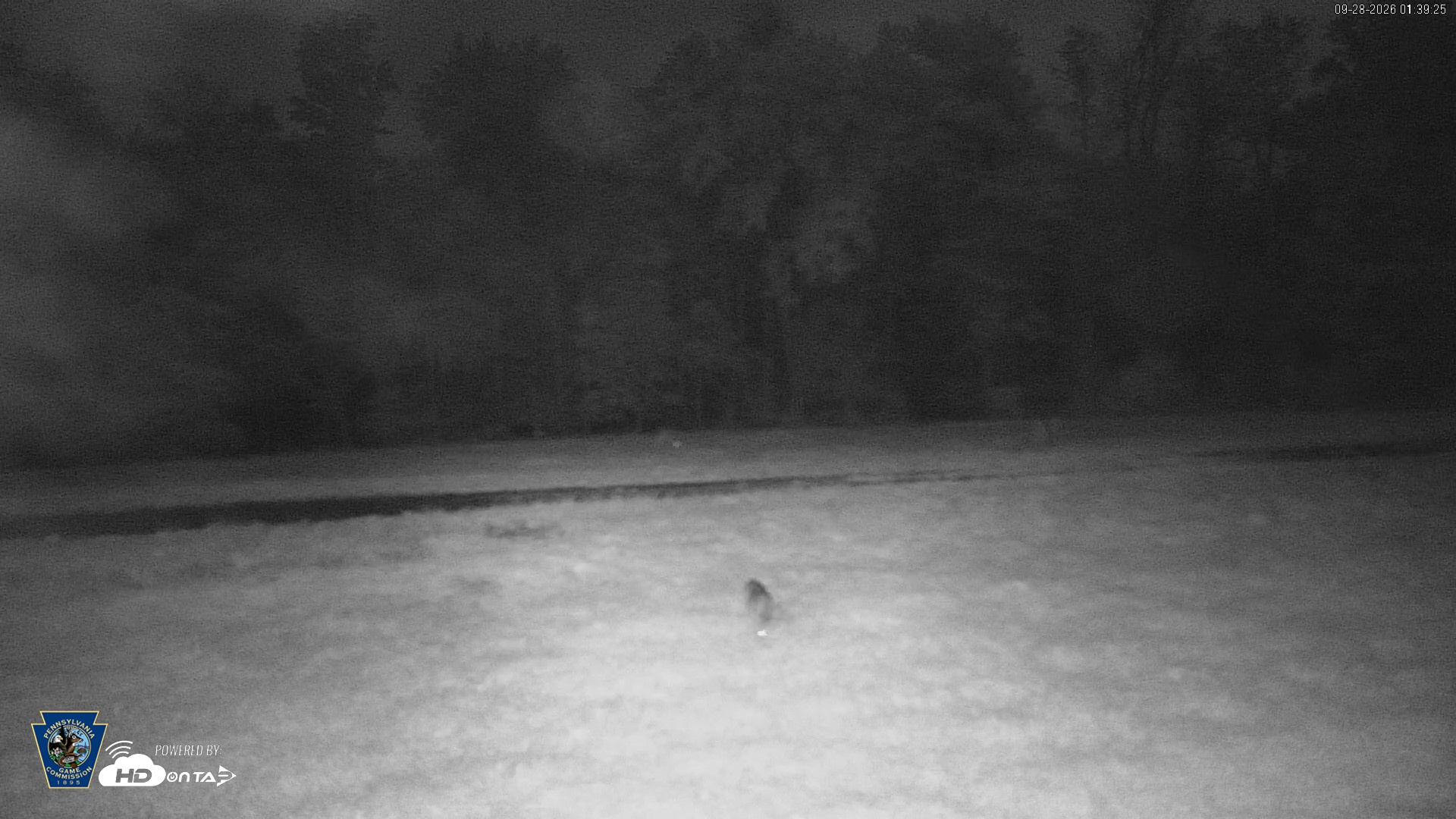 Snapshot of Pennsylvania Elk Live Webcam taken Sep 28, 2026, 1:40am EDT