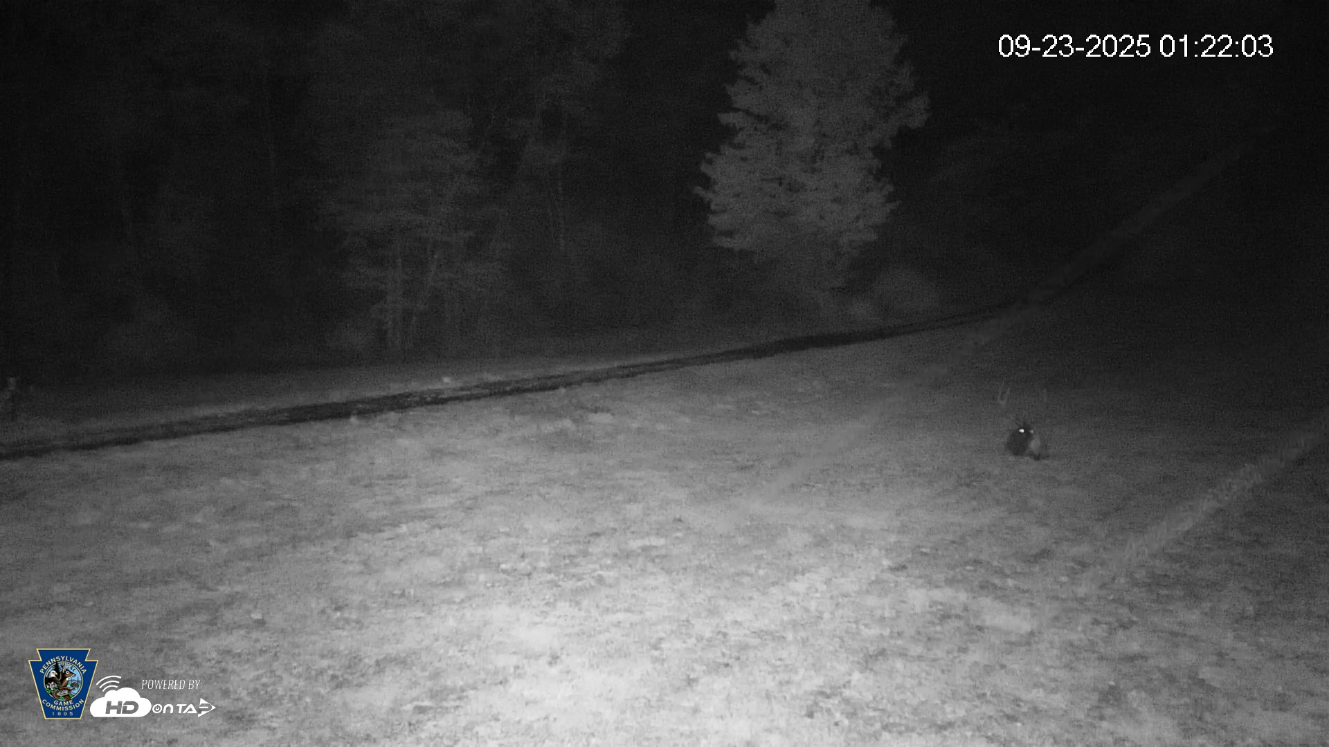 Snapshot of Pennsylvania Elk Live Webcam taken Sep 23, 2025, 1:22am EDT