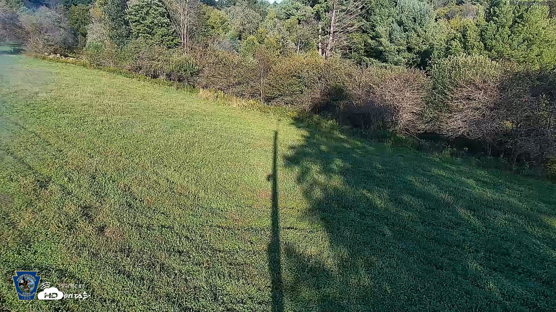 Snapshot of Pennsylvania Elk Live Webcam taken Sep 10, 2026, 5:53pm EDT