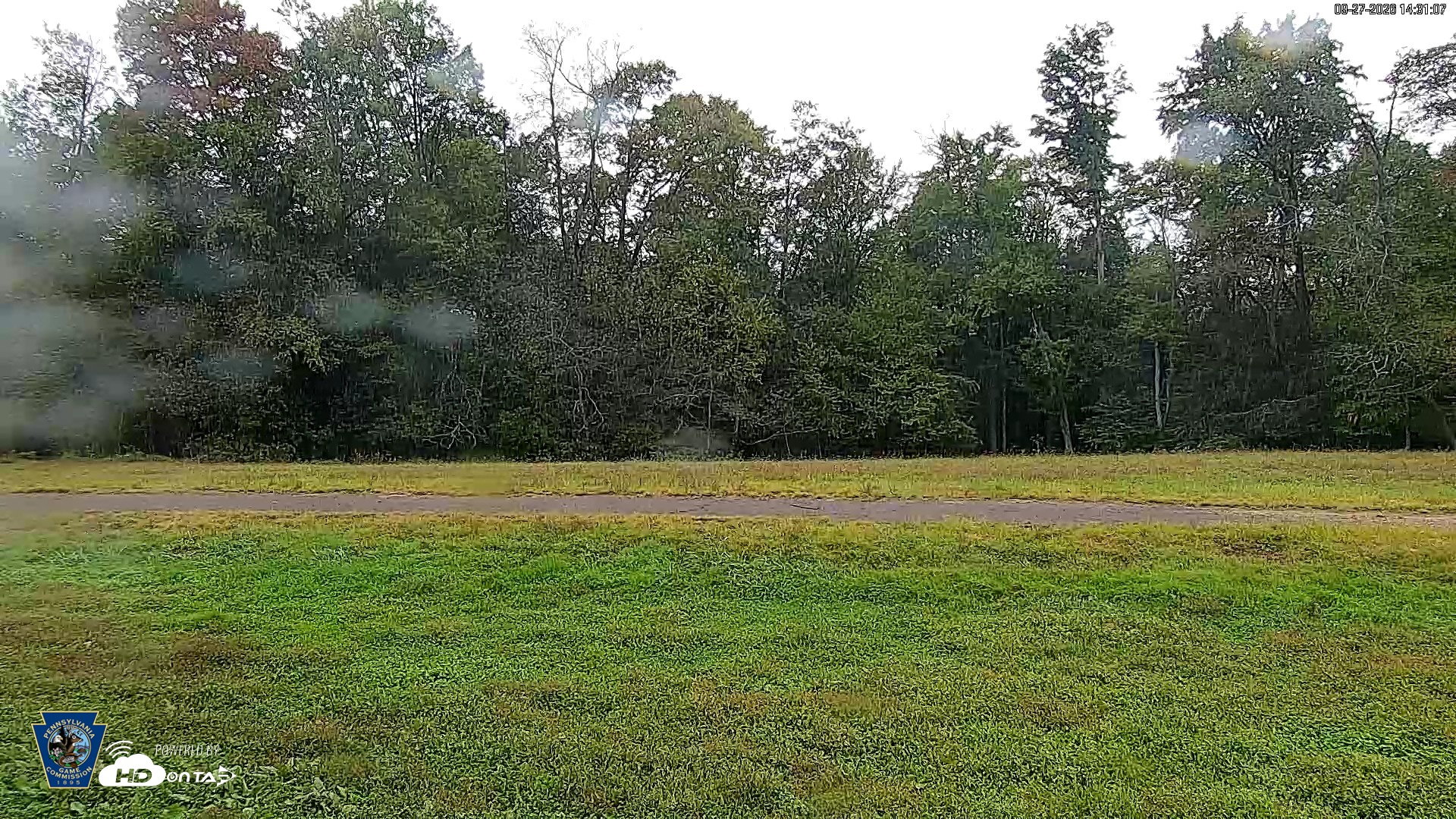 Snapshot of Pennsylvania Elk Live Webcam taken Sep 27, 2026, 2:33pm EDT